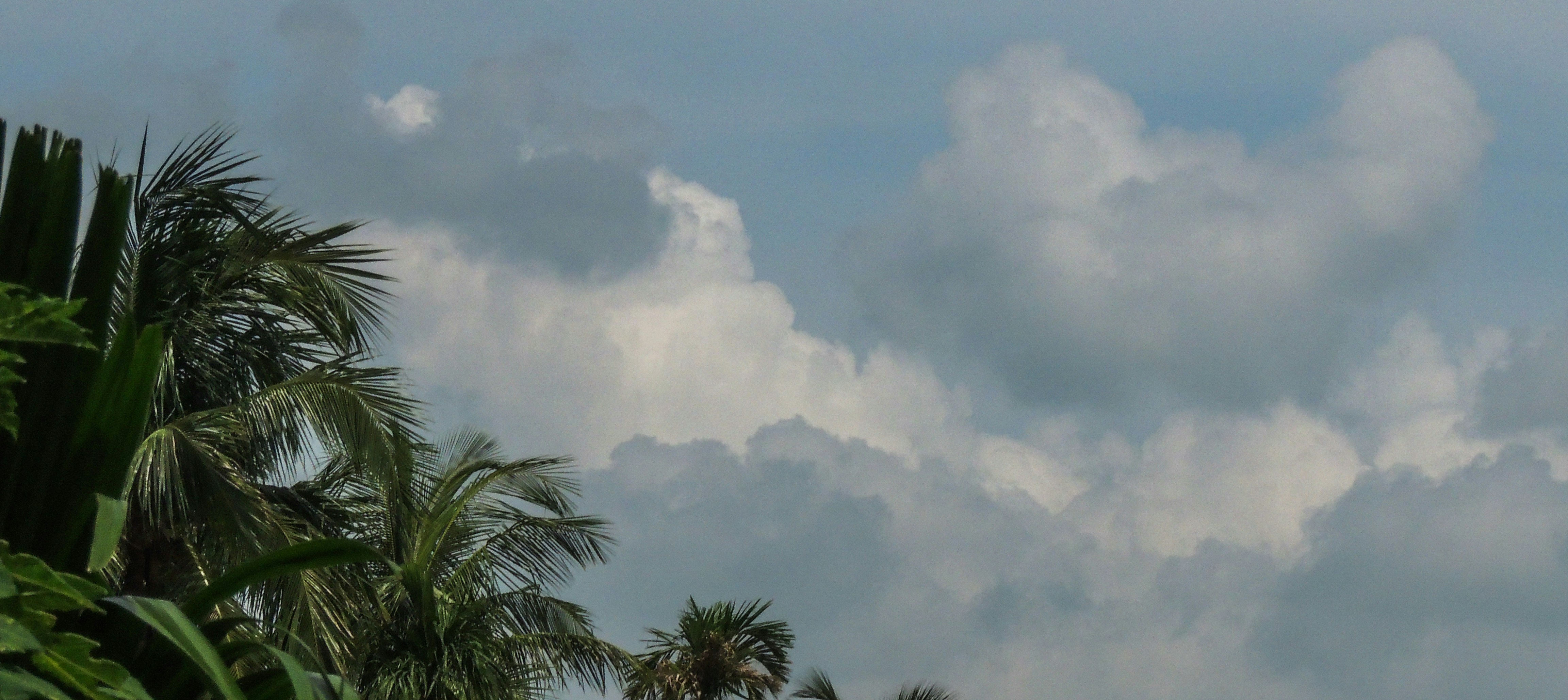 Photo by monoswita29