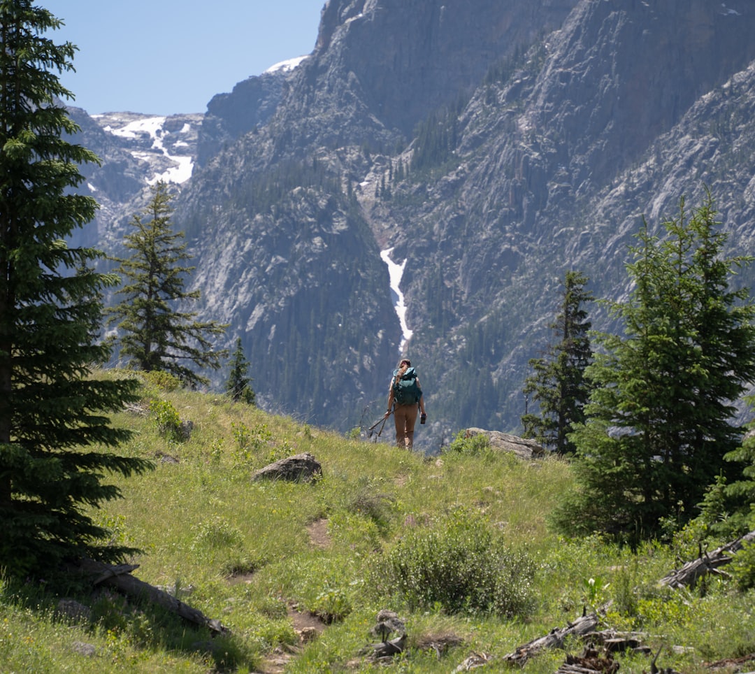A person standing on a grassy hill with a mountain in the background,
