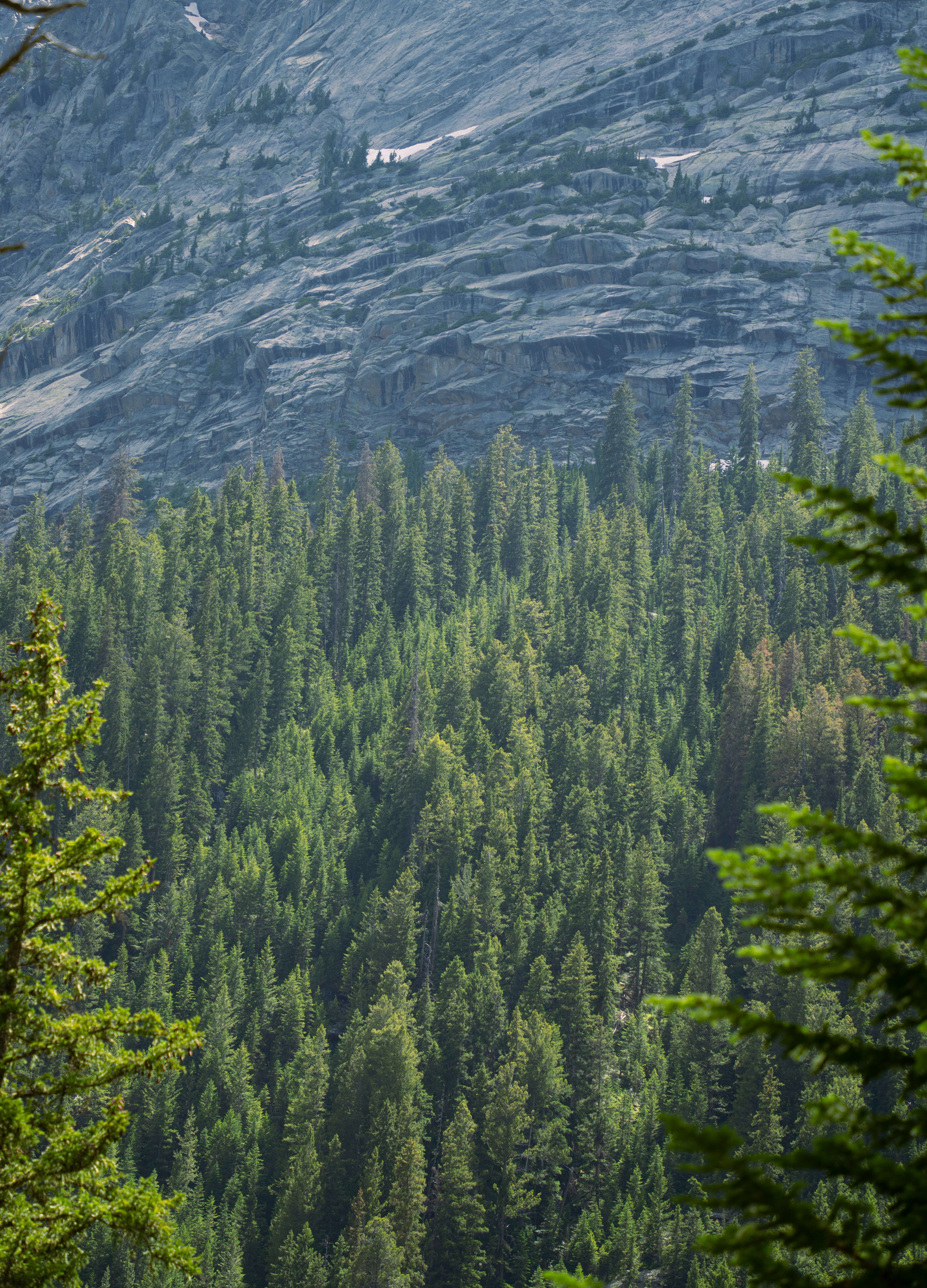 Photo by alexmoliski