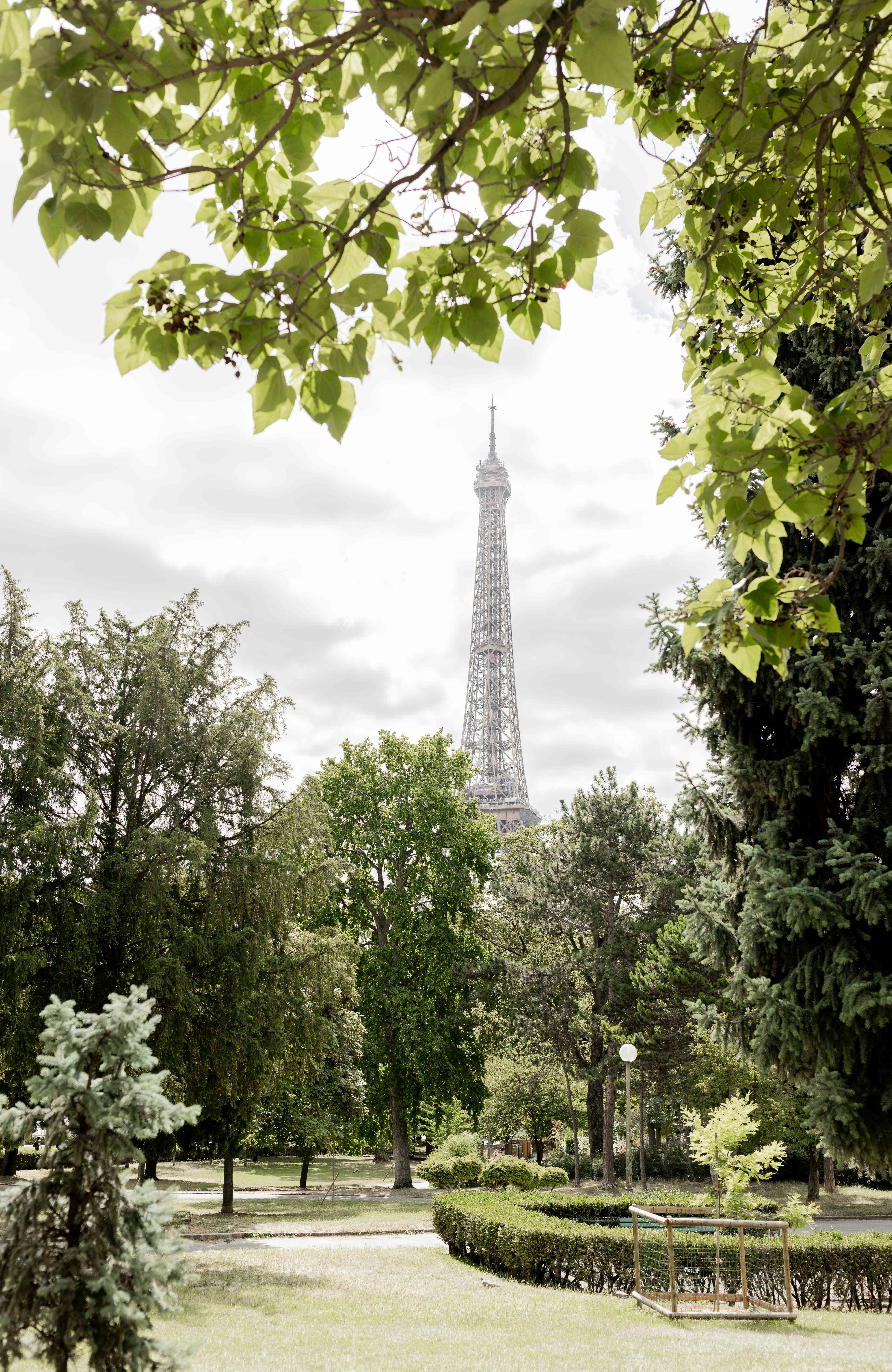 A view of the eiffel tower from a park