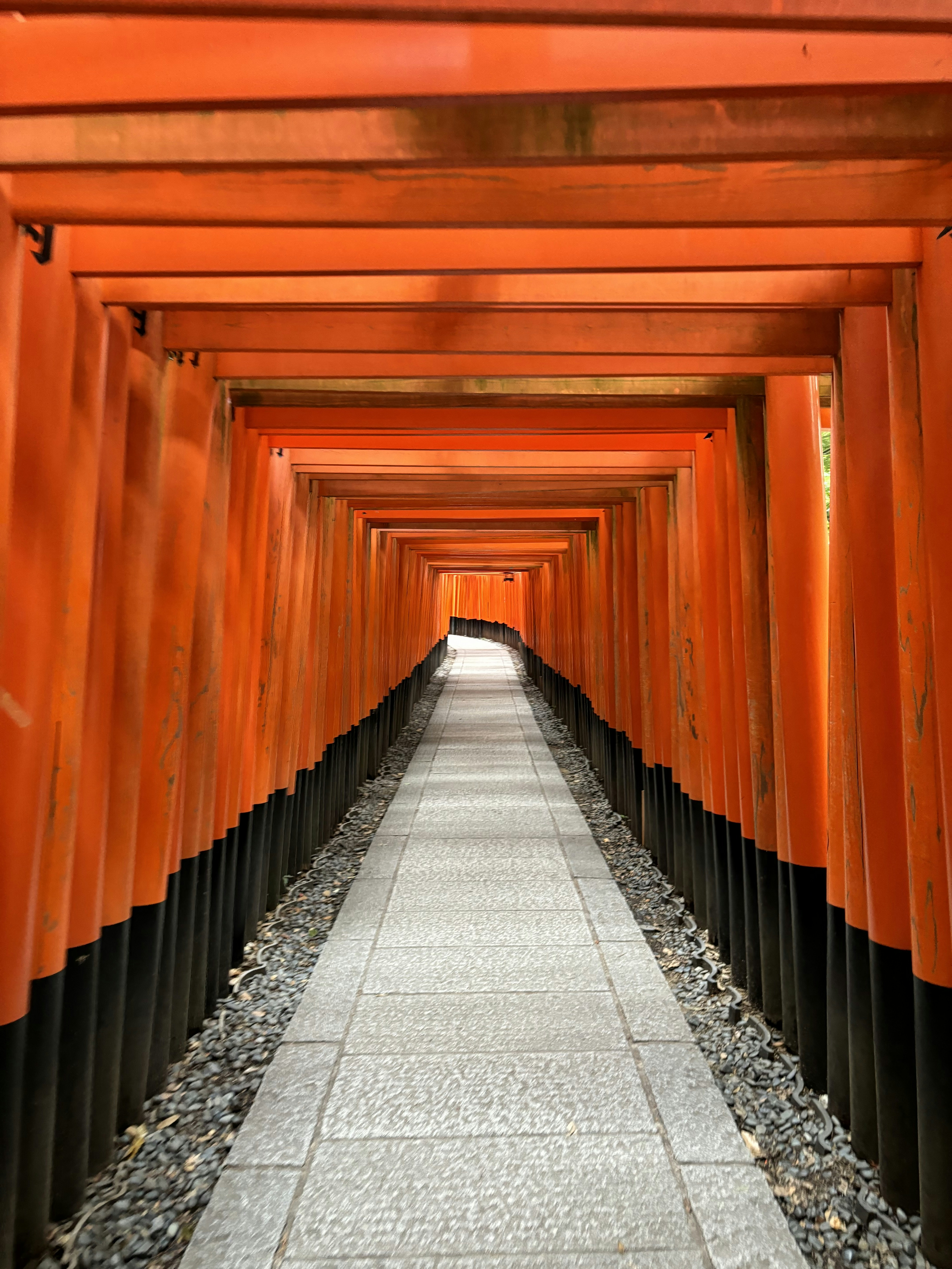 Photo by mattercheng