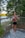 A woman standing on a wooden deck next to a lake