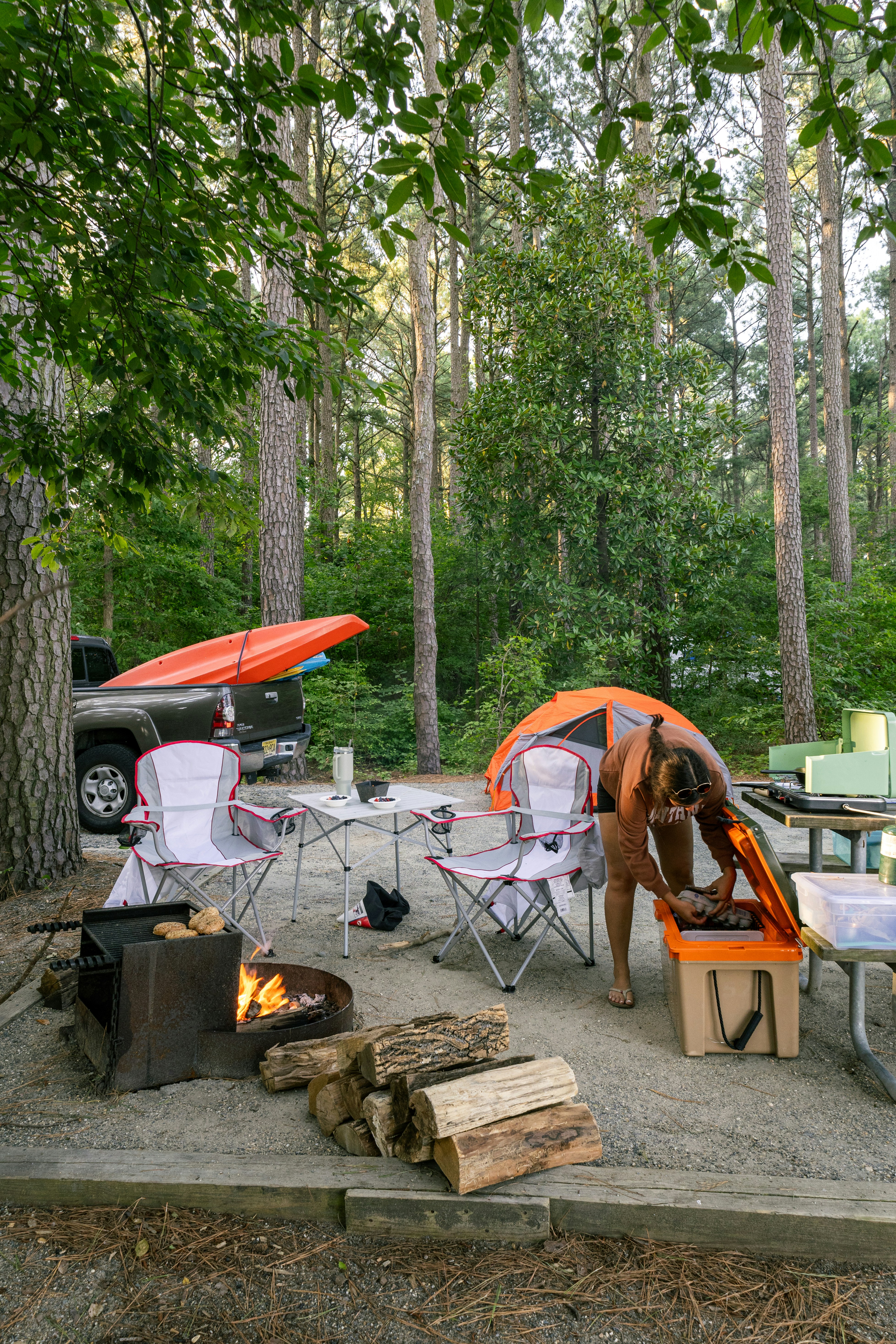 A horse standing next to a camp site