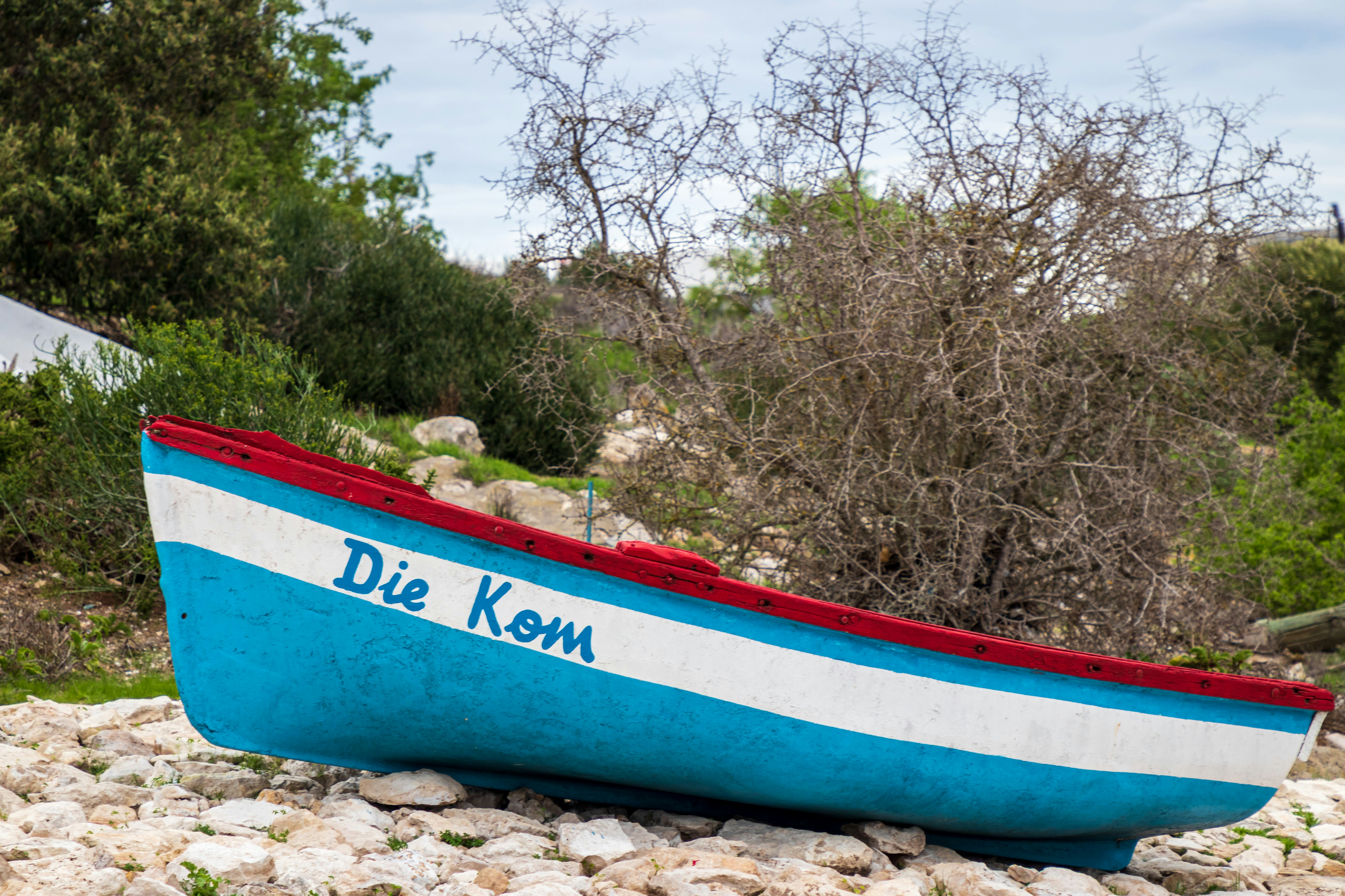 Die Moerbeiboom