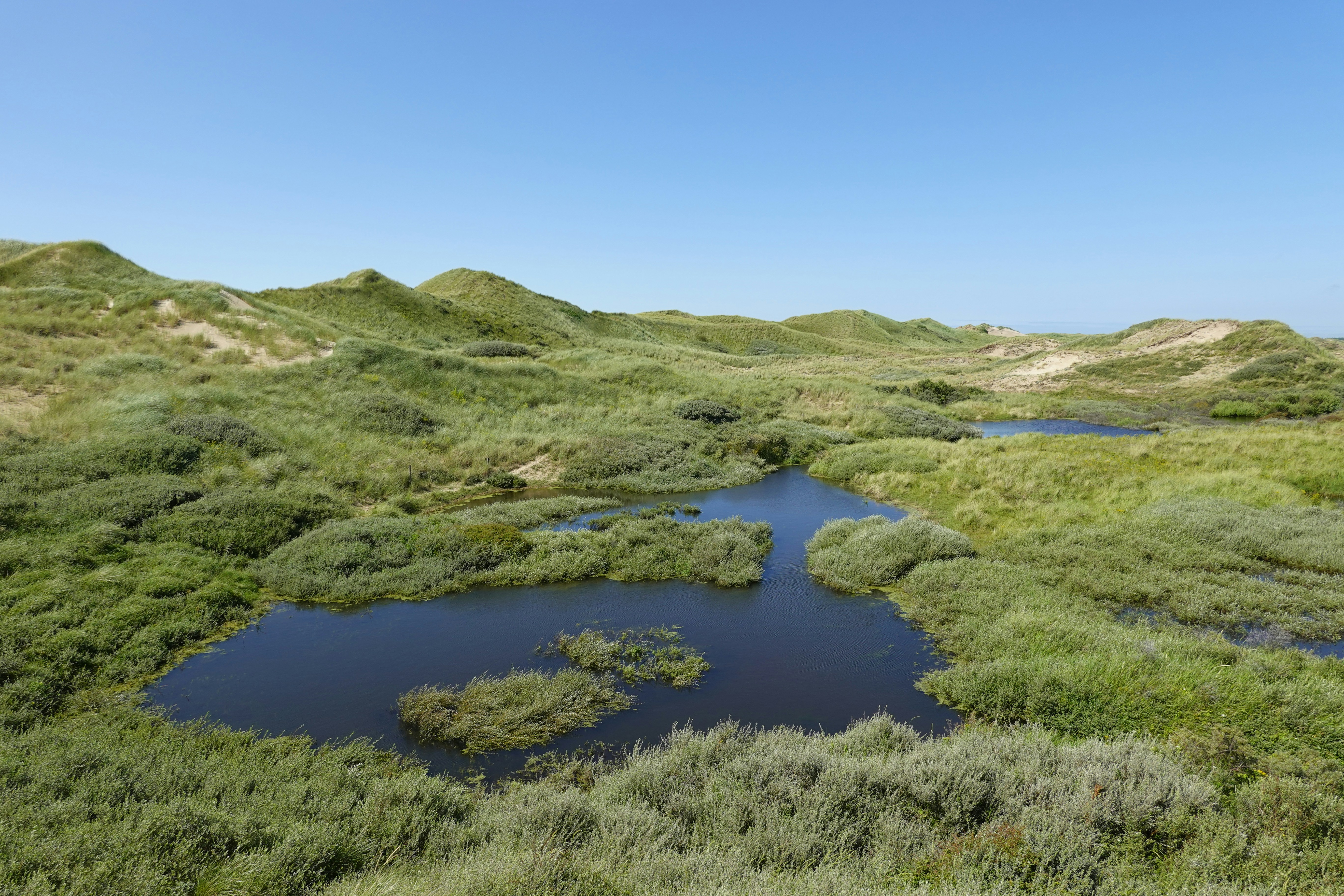 A wide open field with a pond in the middle of it