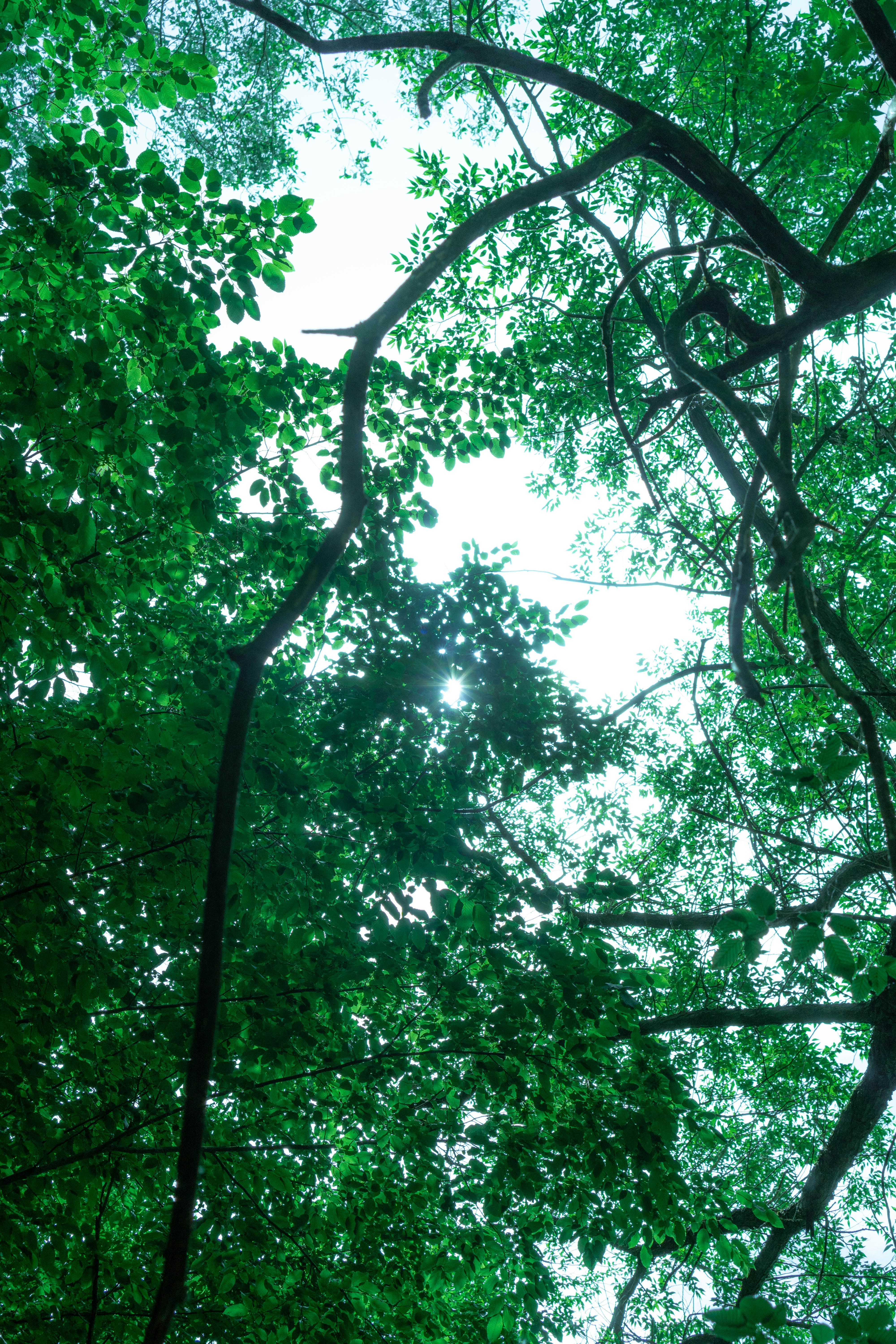 Photo by melatonical