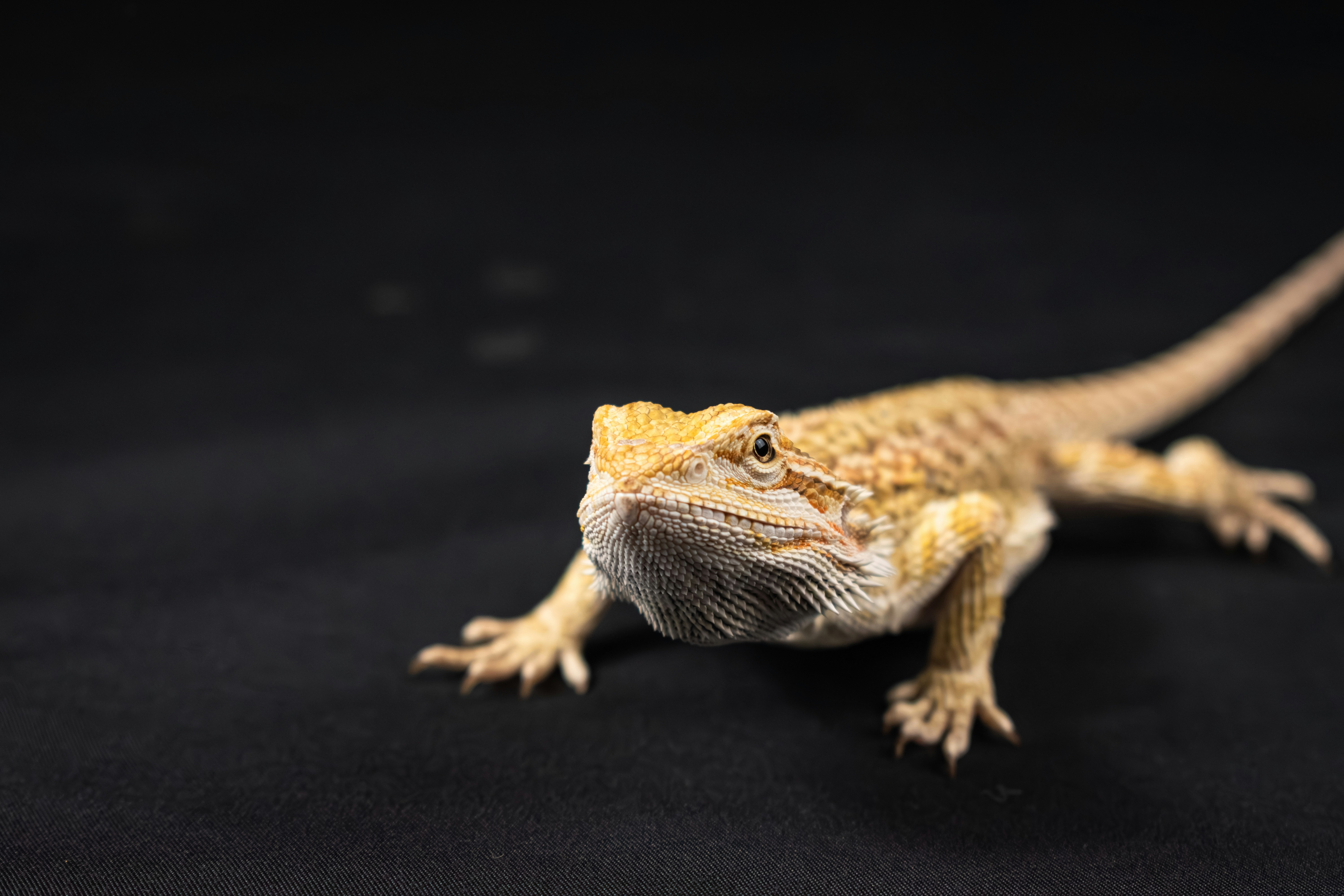 Photo by niki_emmert