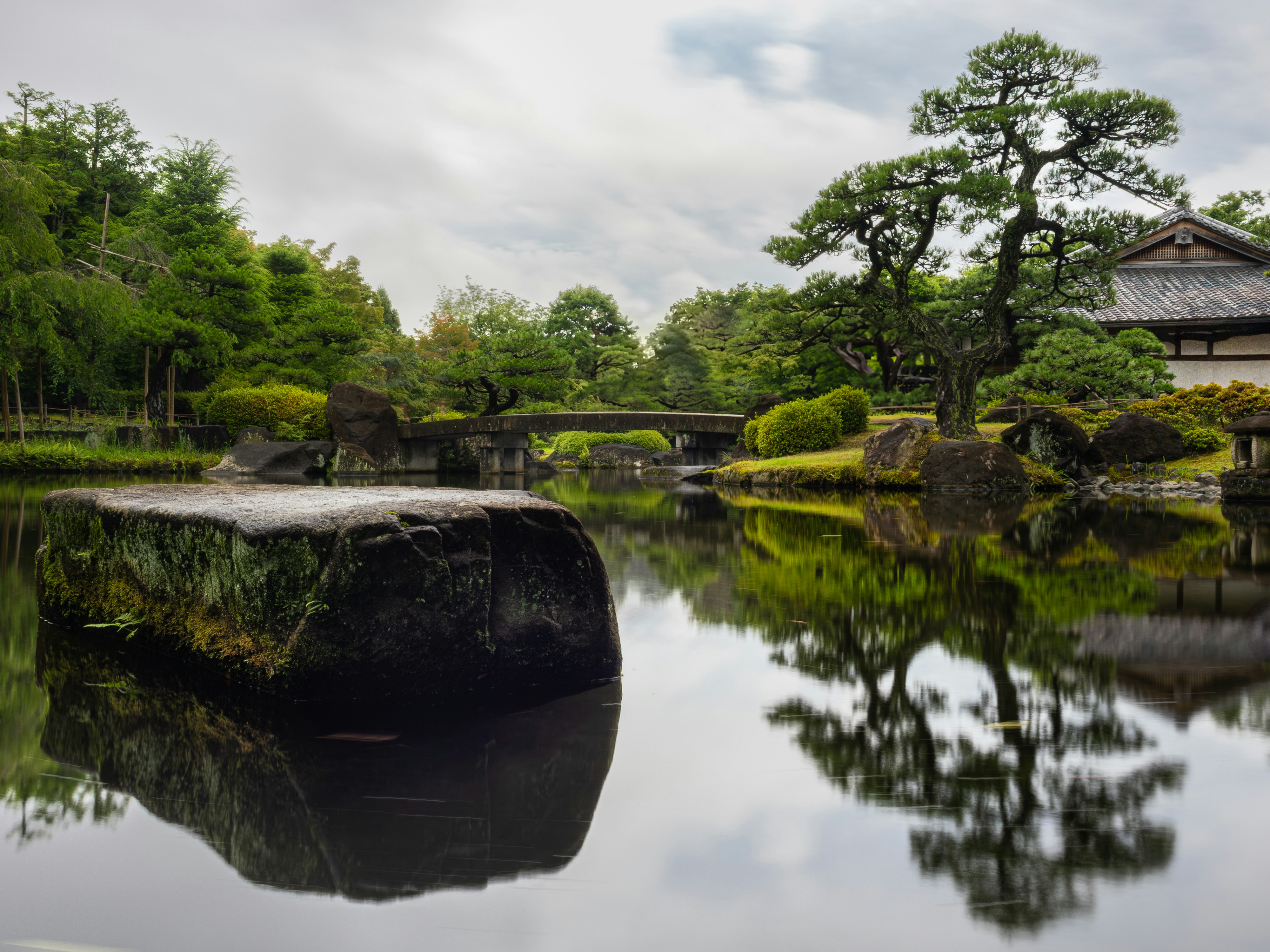 A pond surrounded by trees and a bridge