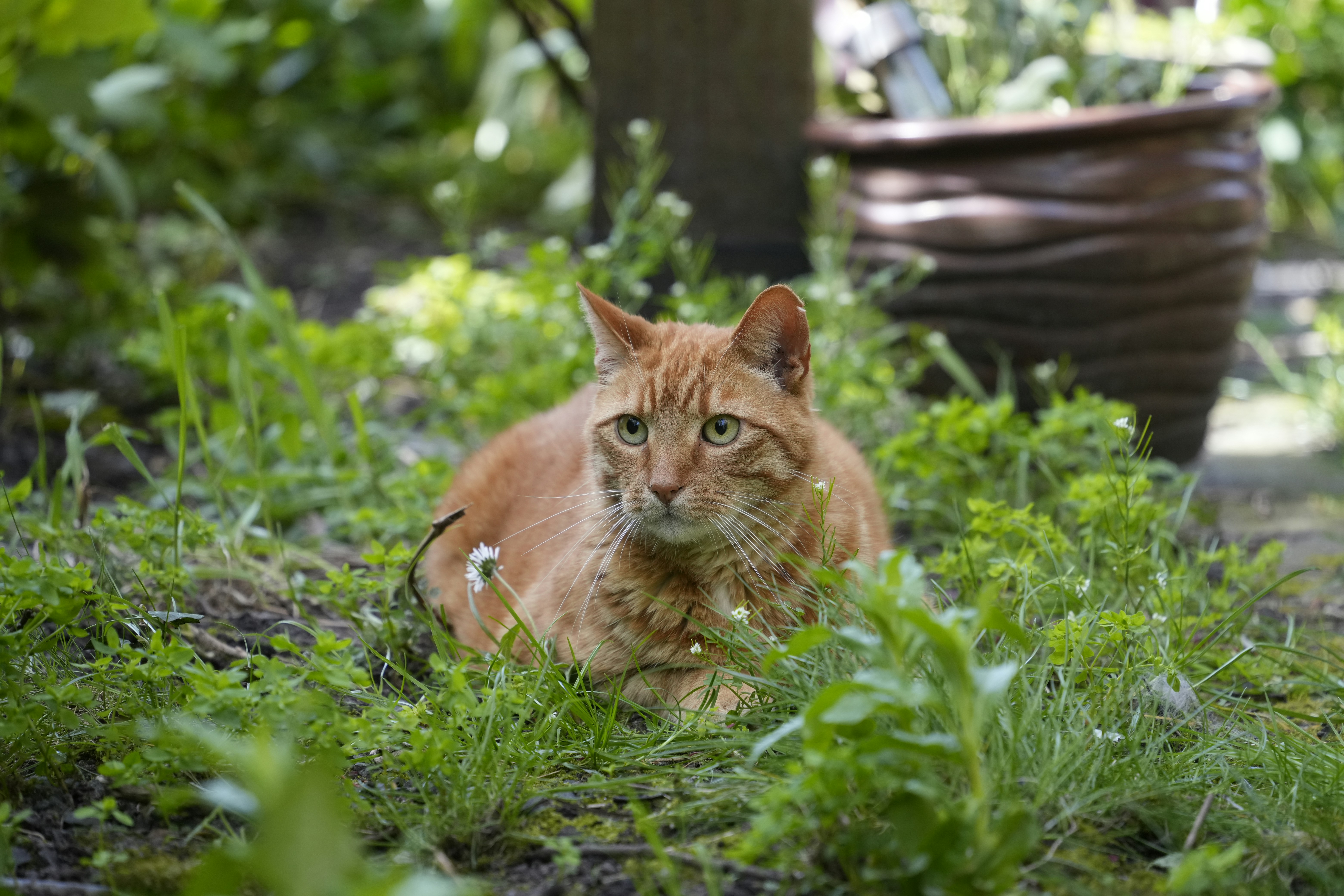 Photo by oscarfickel3