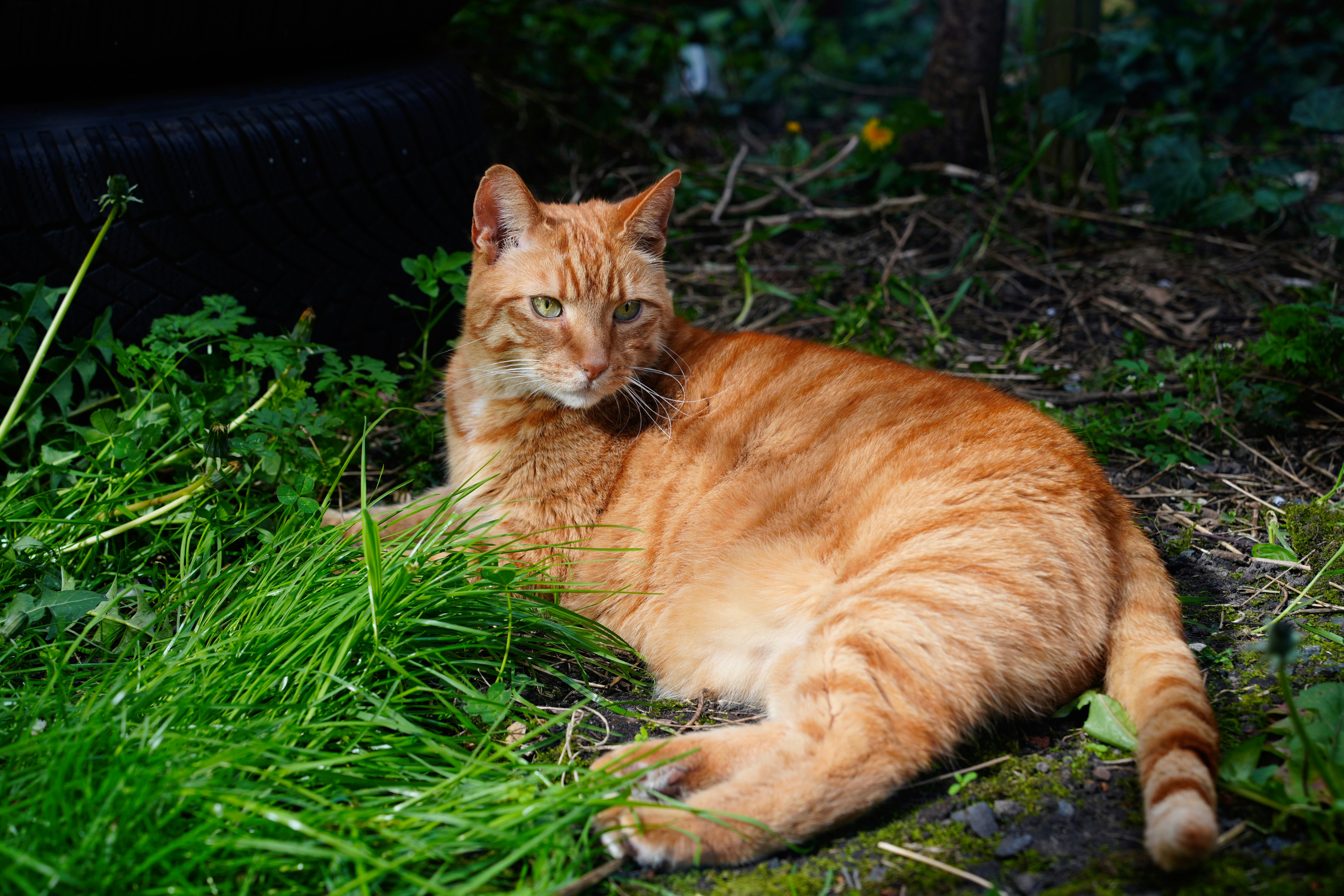 Photo by oscarfickel3