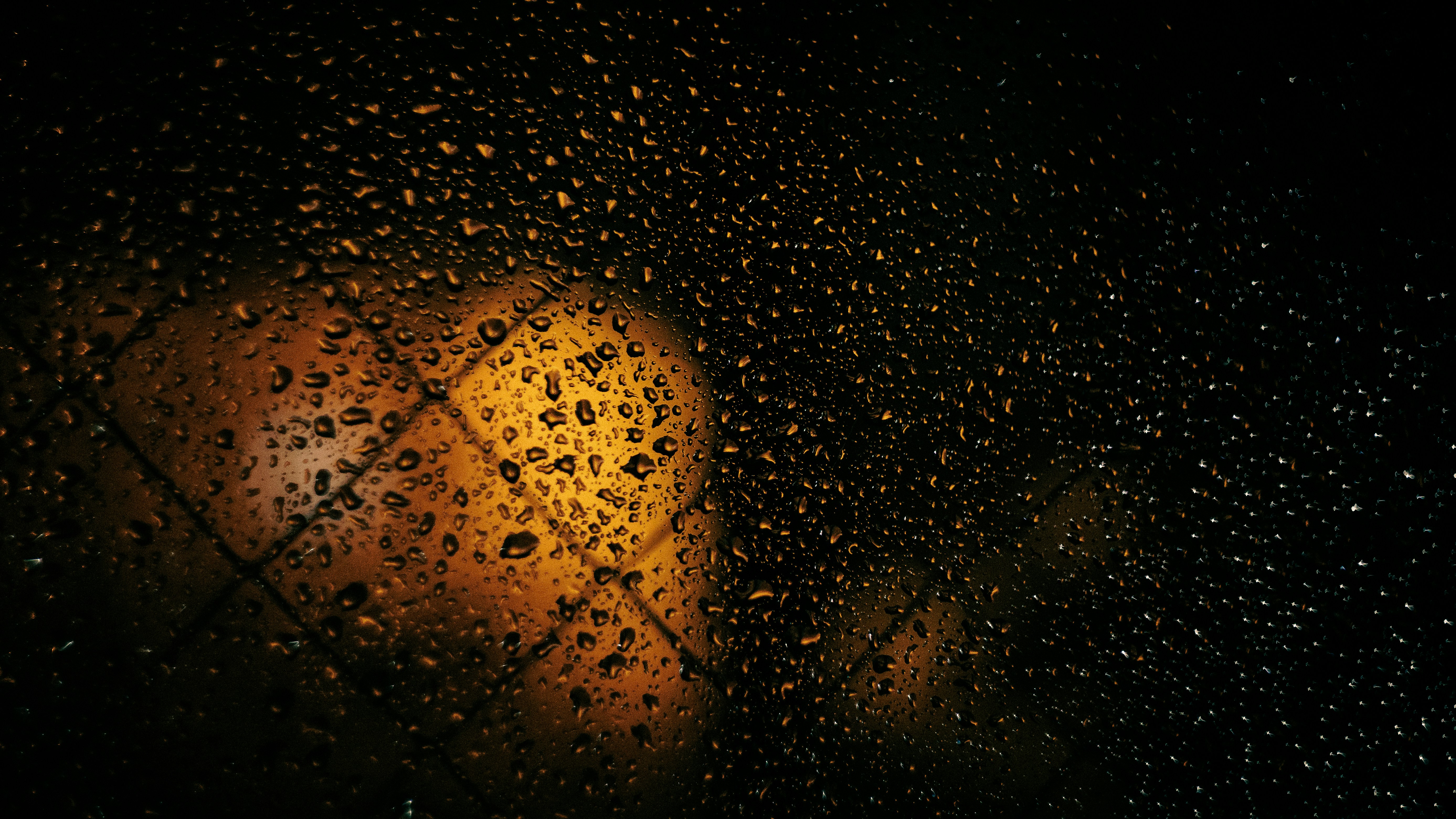 Photo by lucasdalamartaphoto