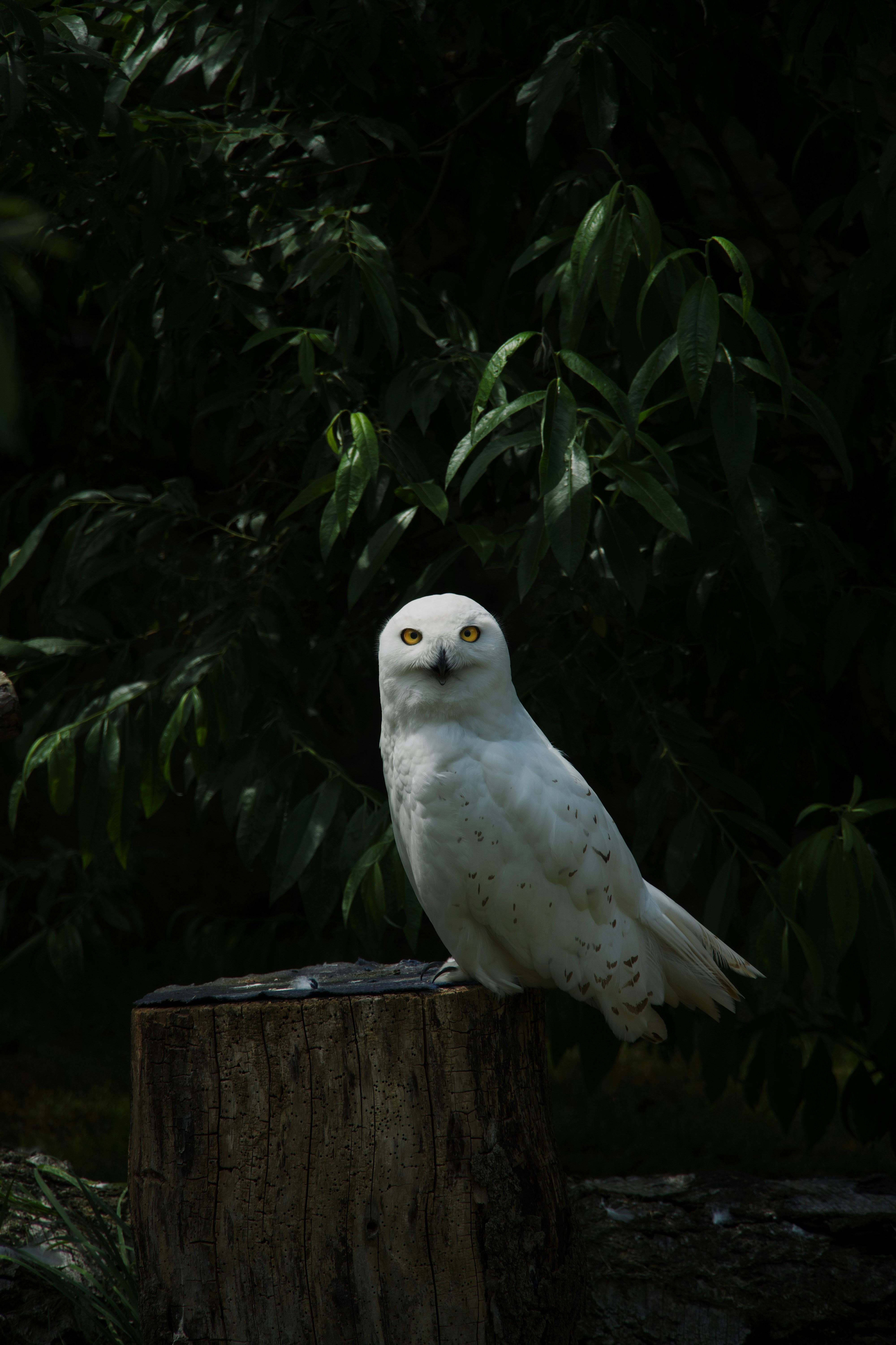 Photo by theodor_jacob