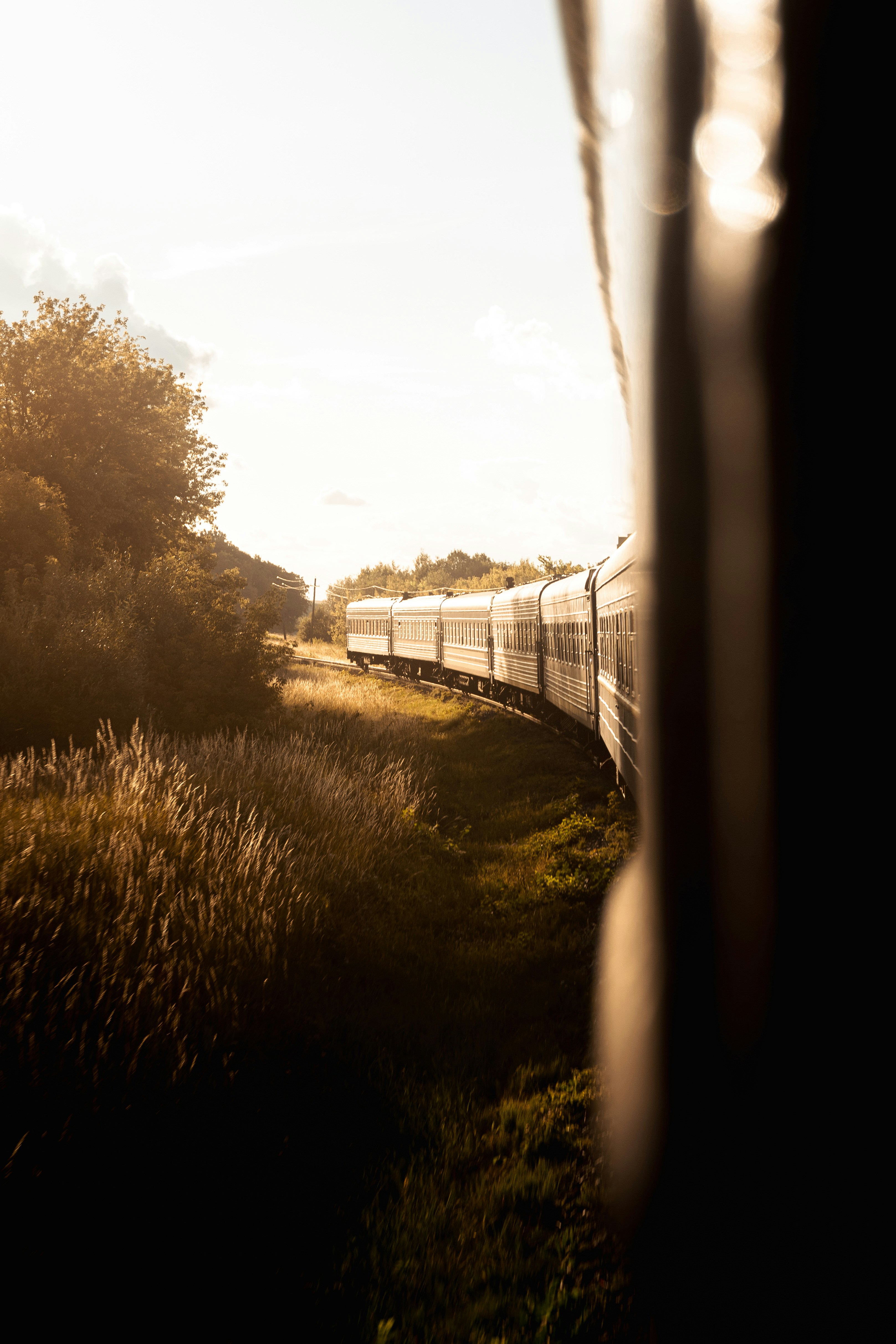 A train traveling through a lush green countryside