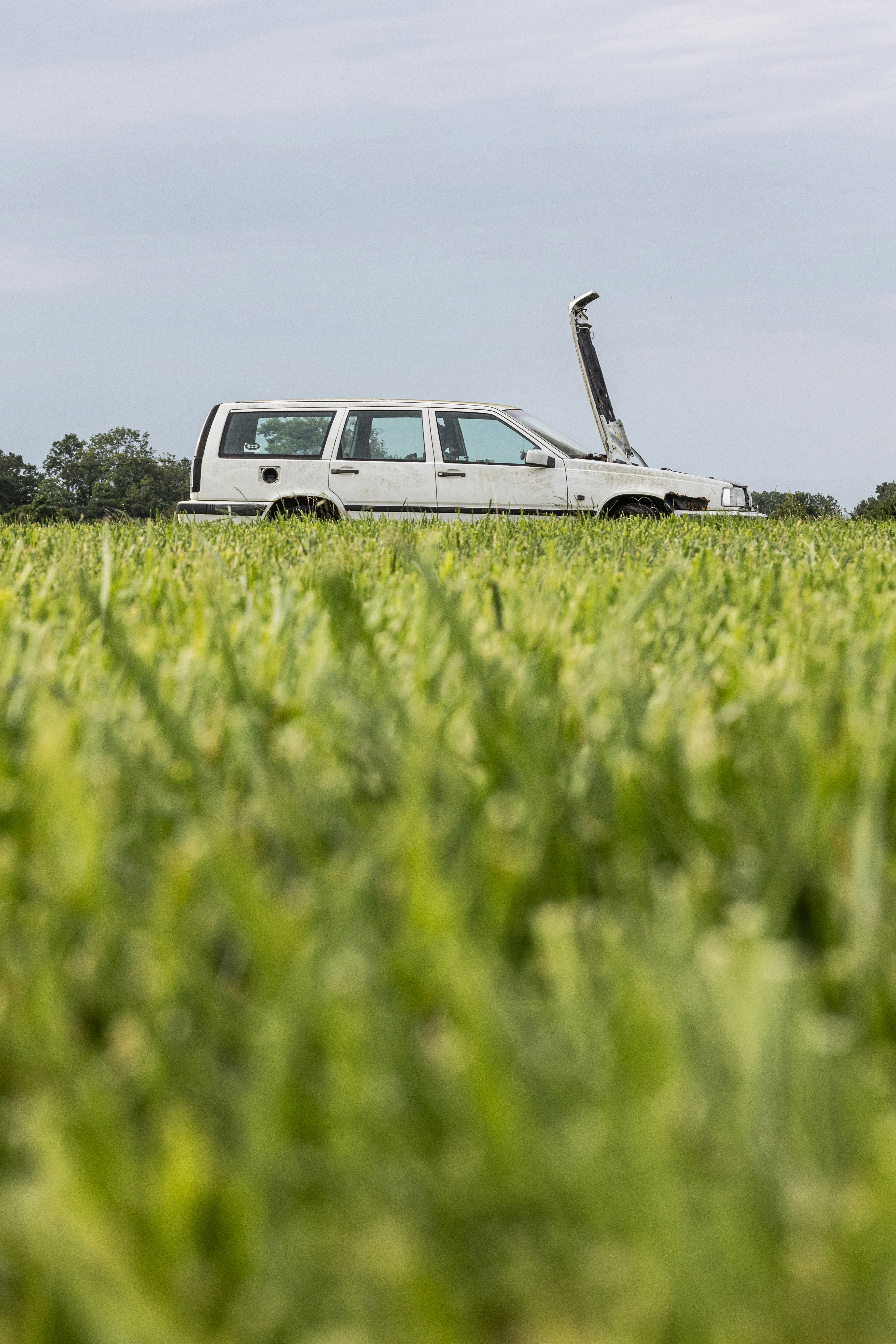 Ein Lastwagen parkt auf einer Wiese