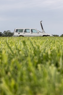 A truck is parked in a field of grass