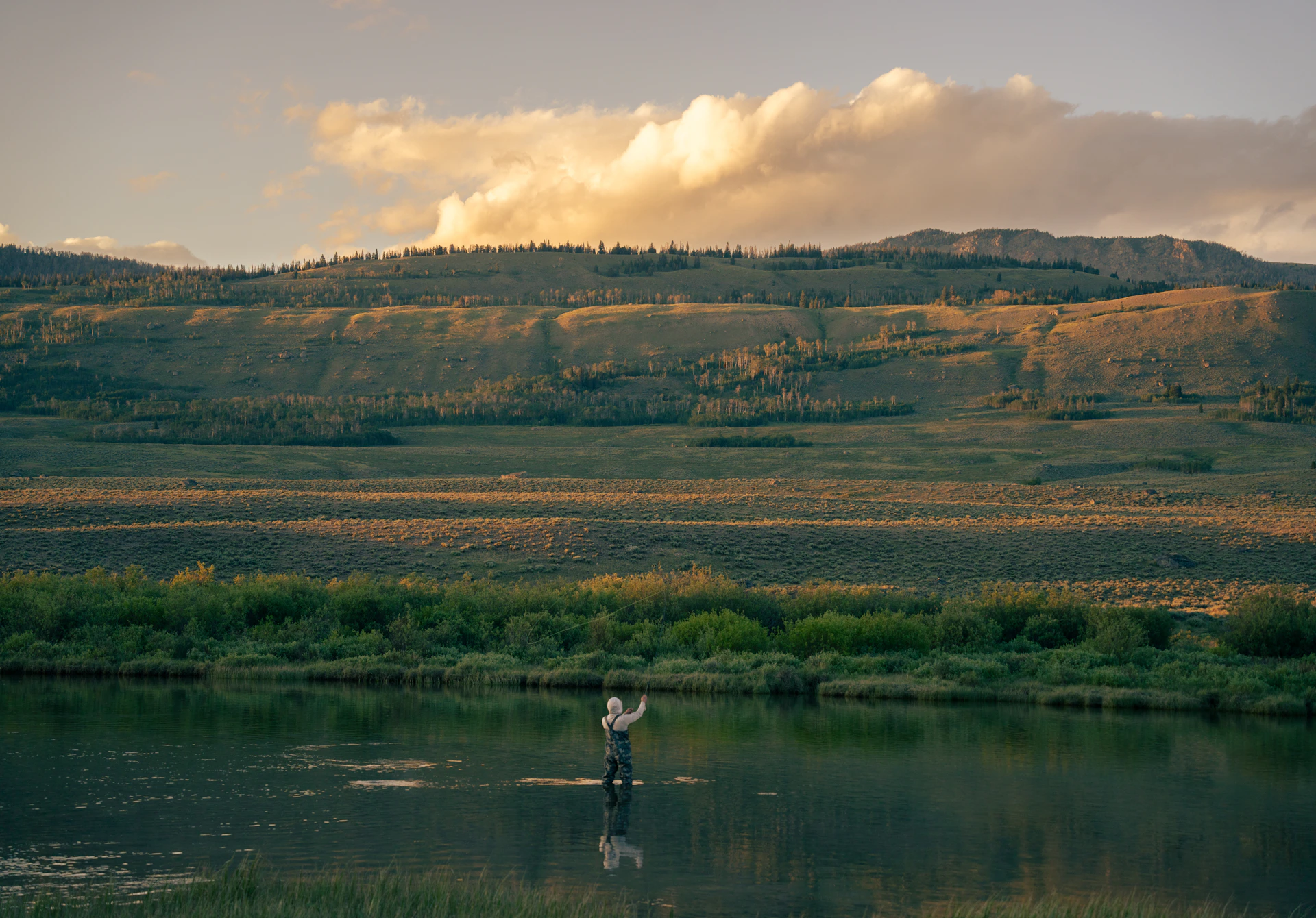 A person standing in a body of water
