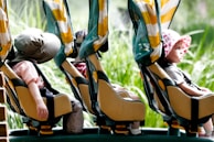 A couple of kids riding on top of a roller coaster