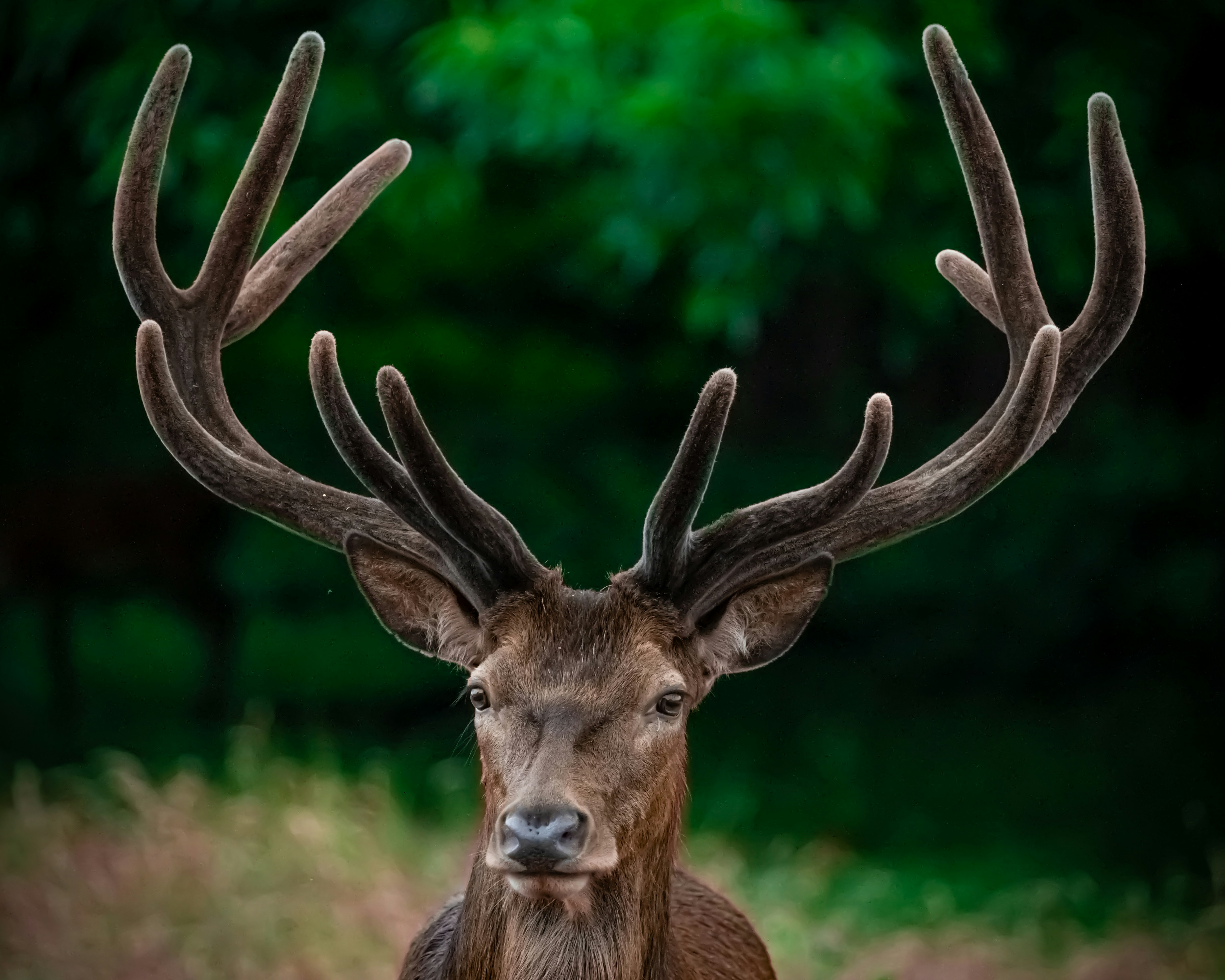 Photo by fatihsimsek