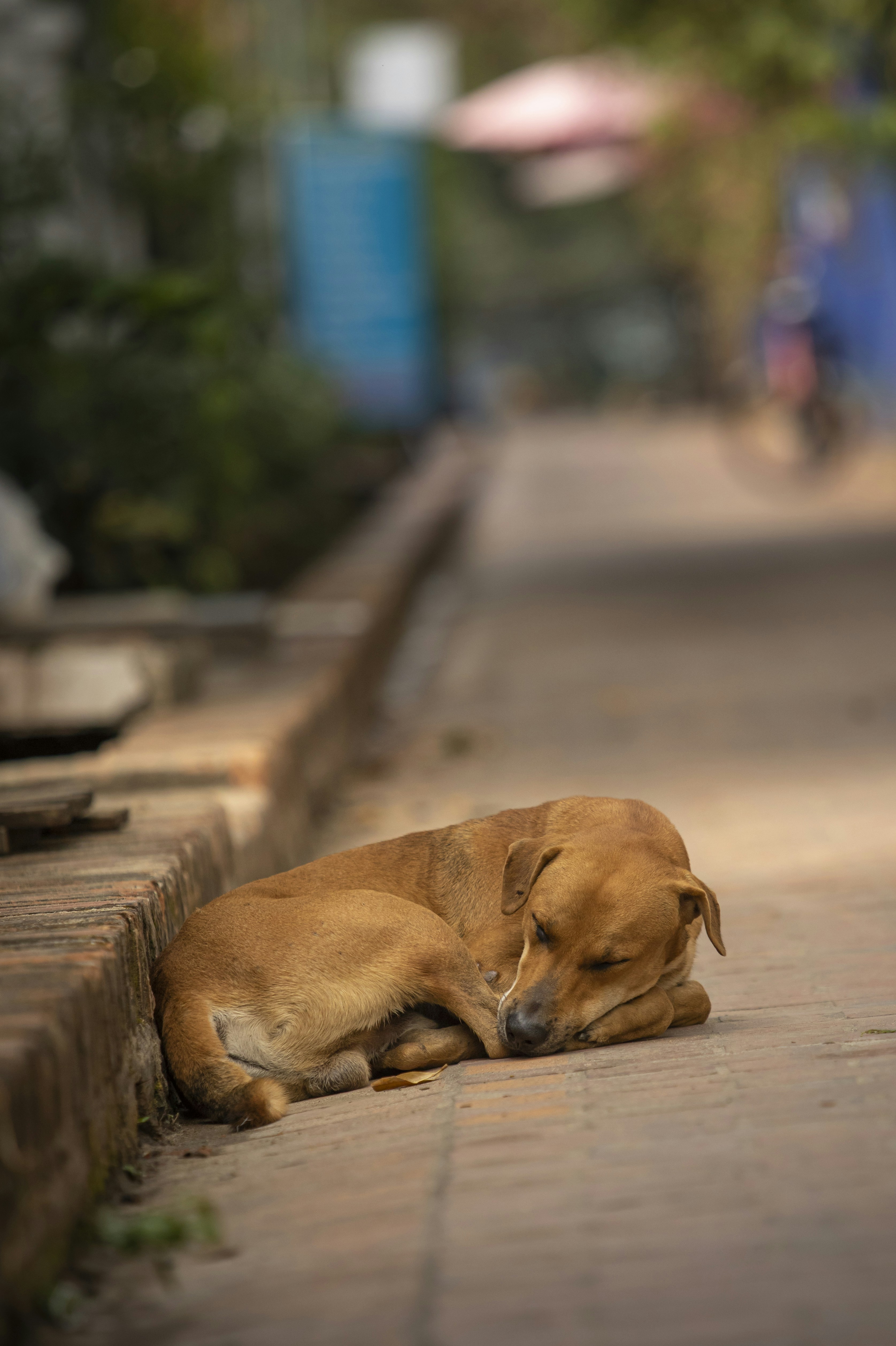 Photo by leo_visions_