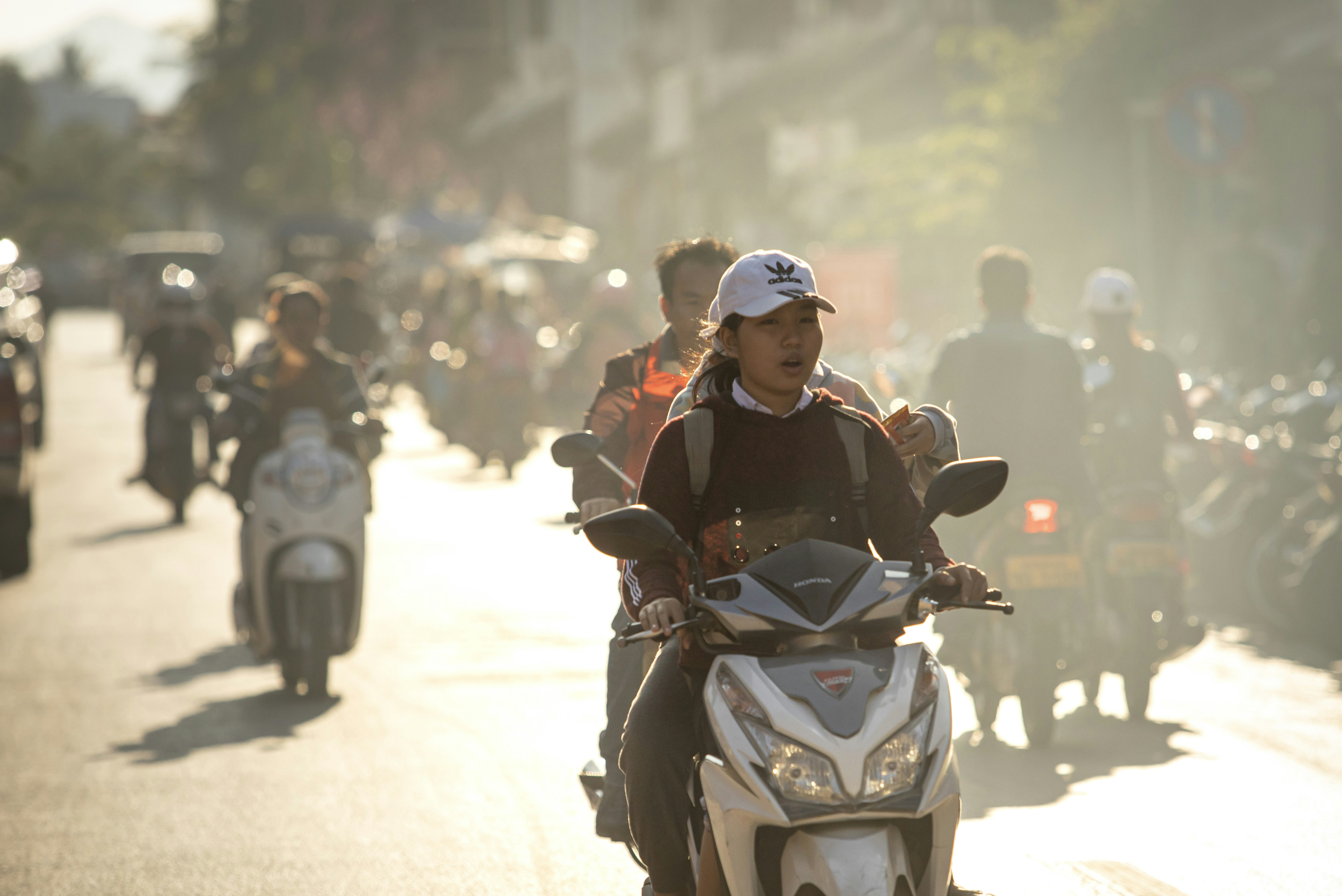 건강 및 위생 관리