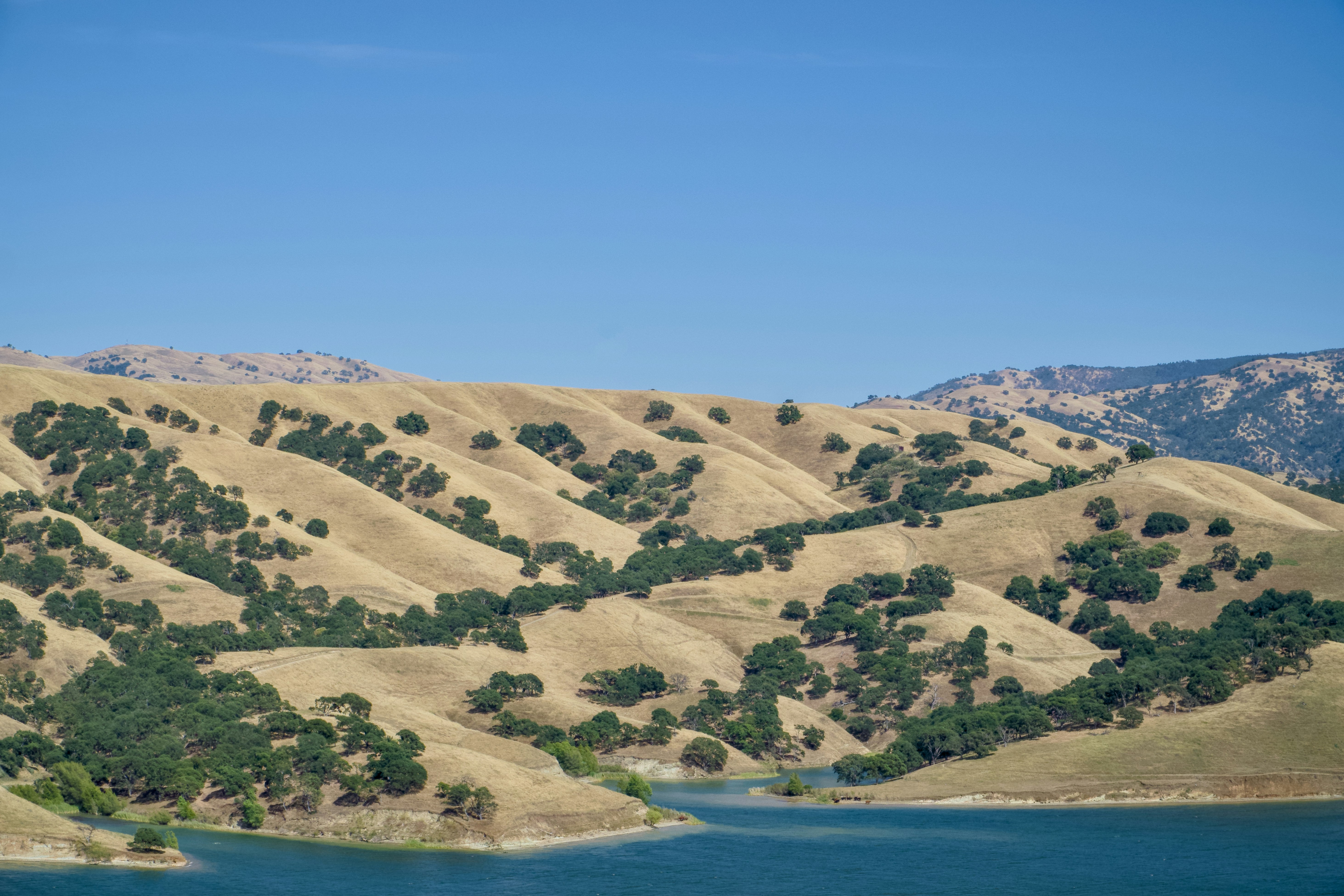 Photo by spencer_demera