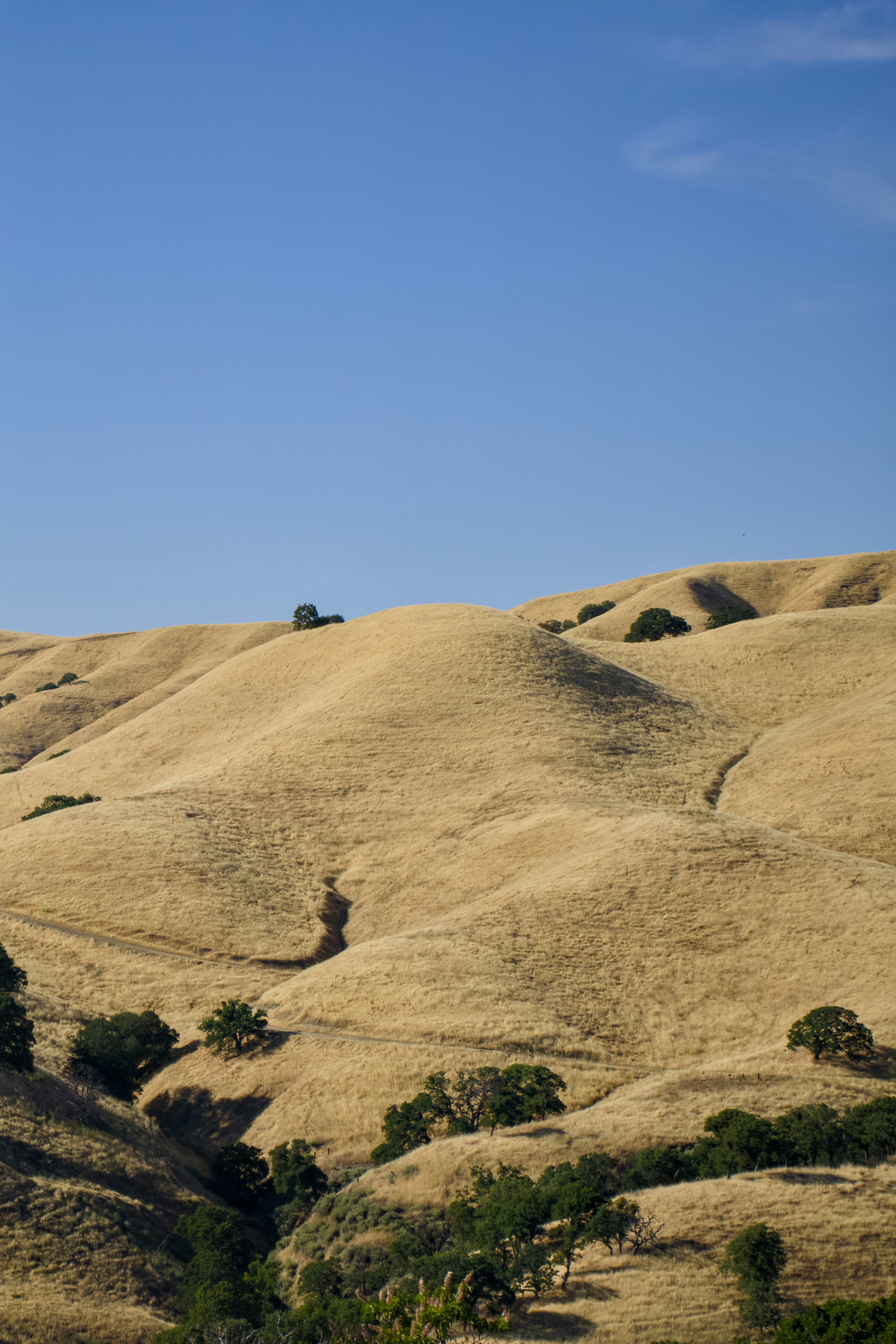 Photo by spencer_demera