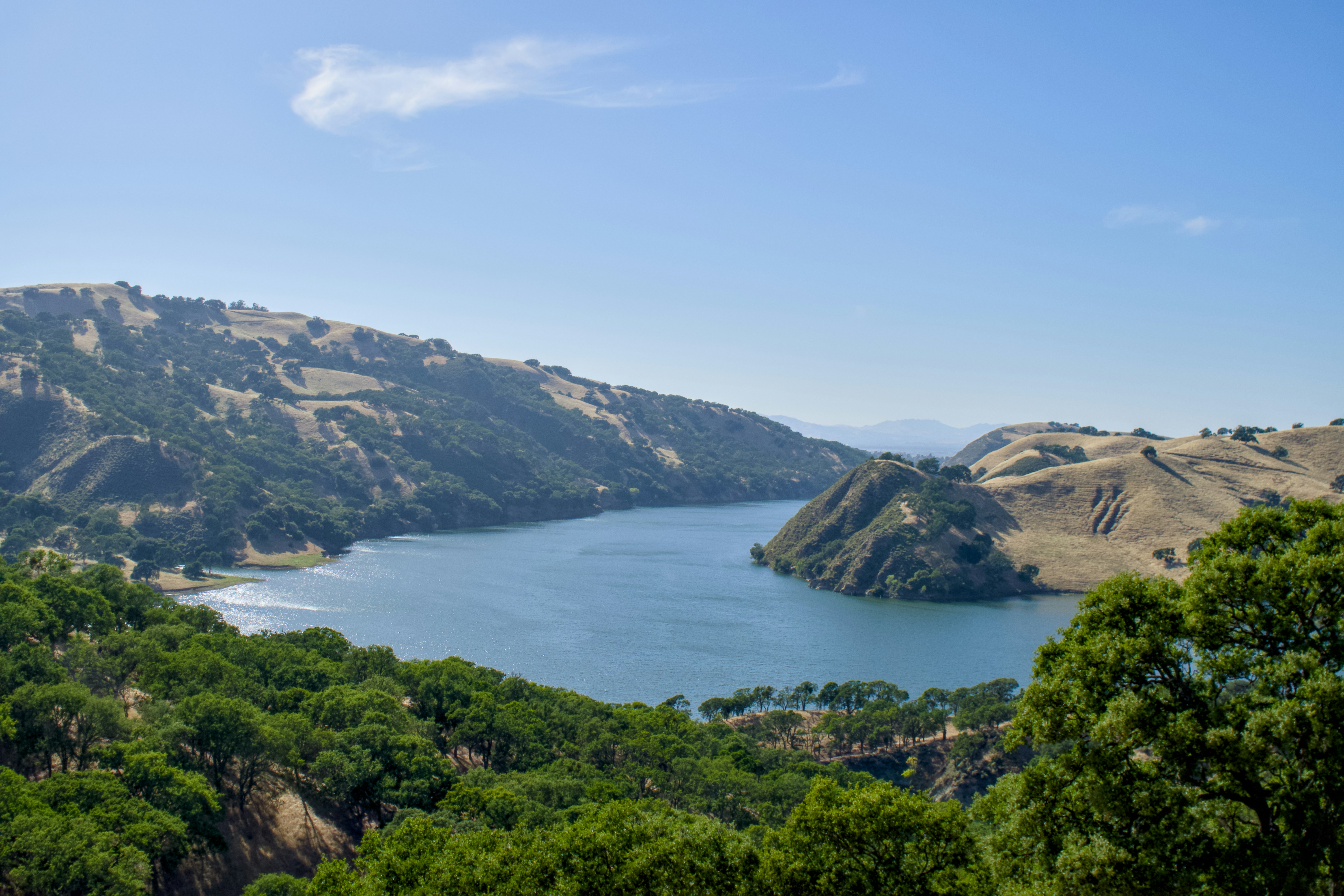 Photo by spencer_demera