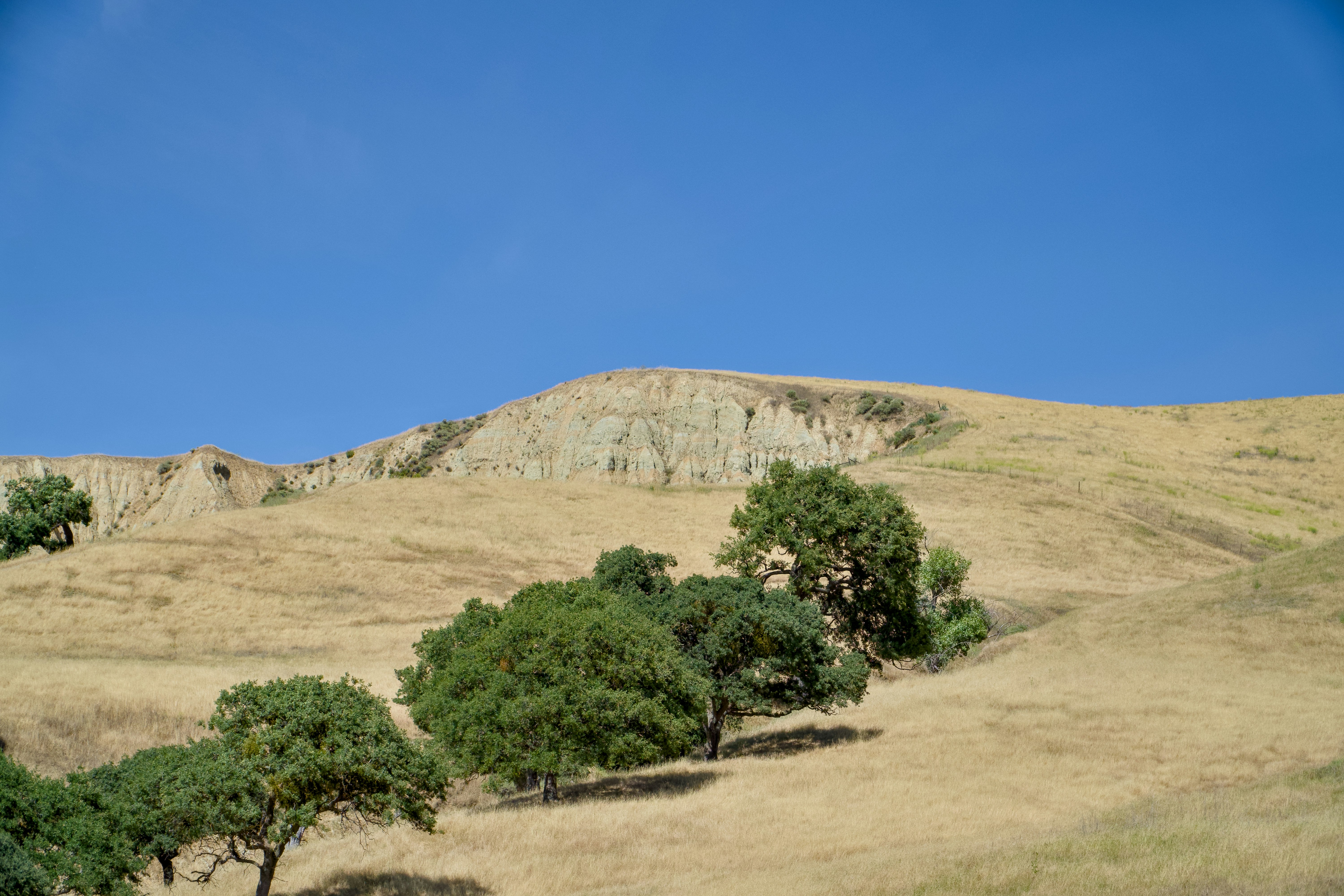 Photo by spencer_demera