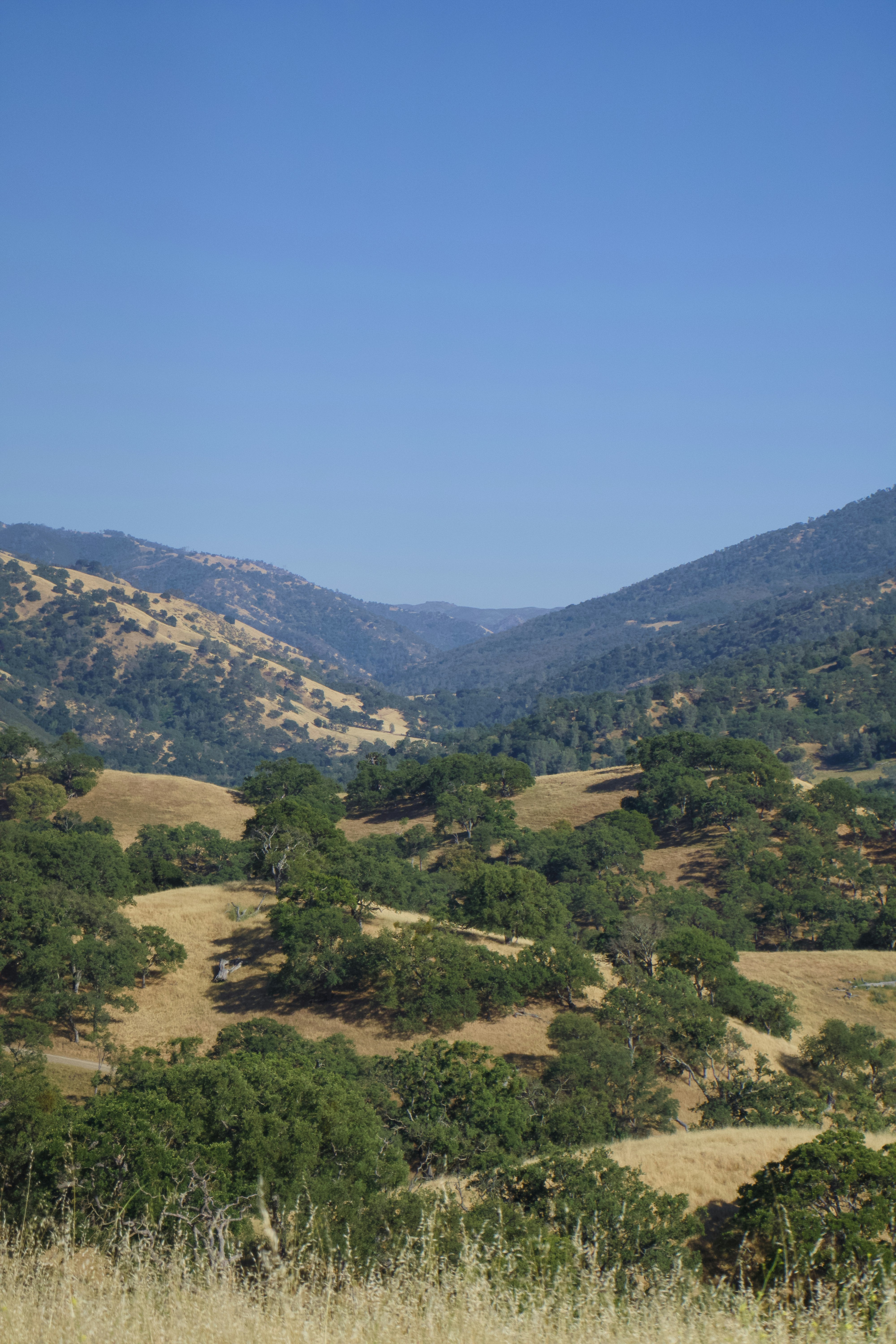 Photo by spencer_demera