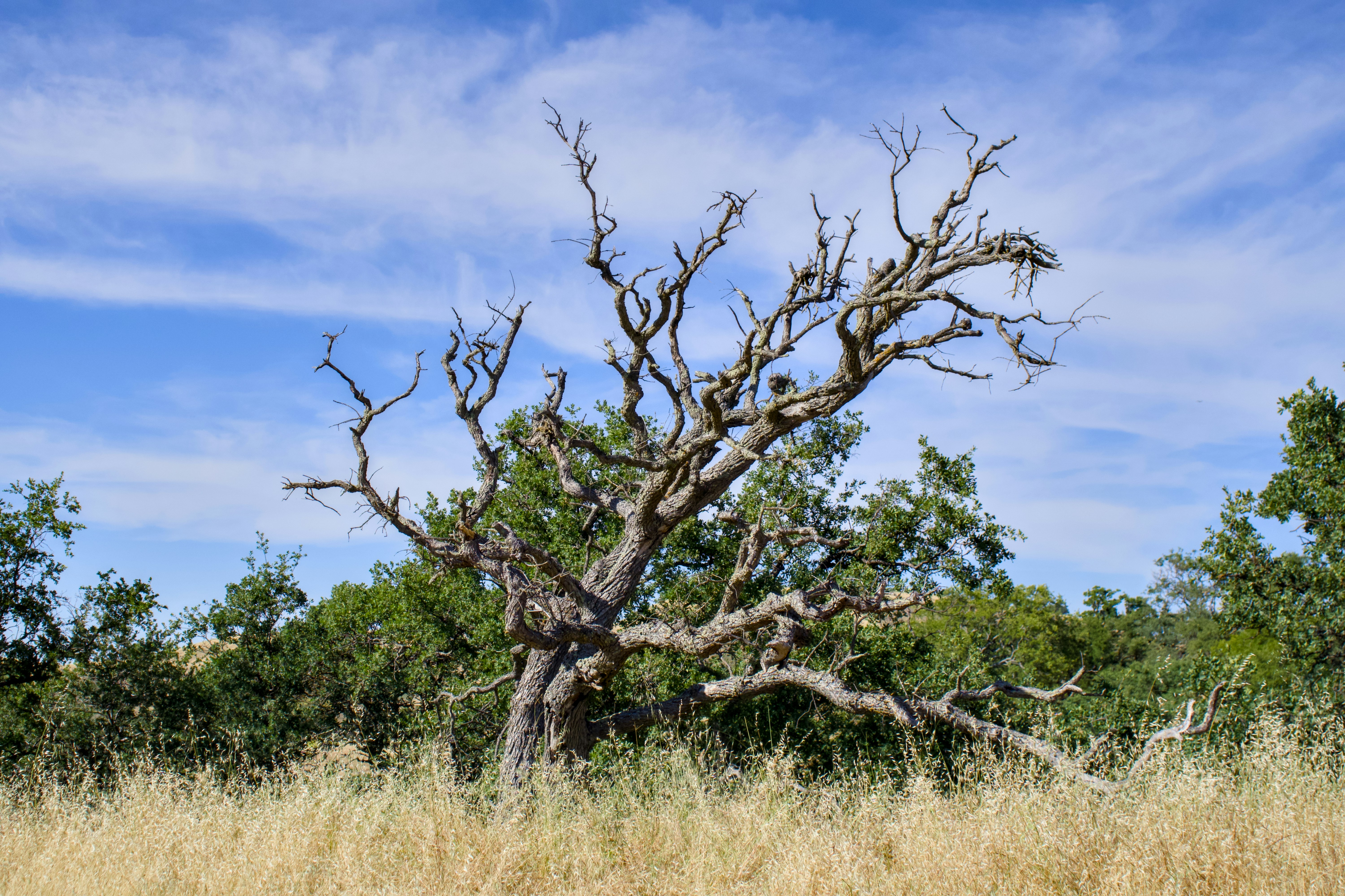 Photo by spencer_demera