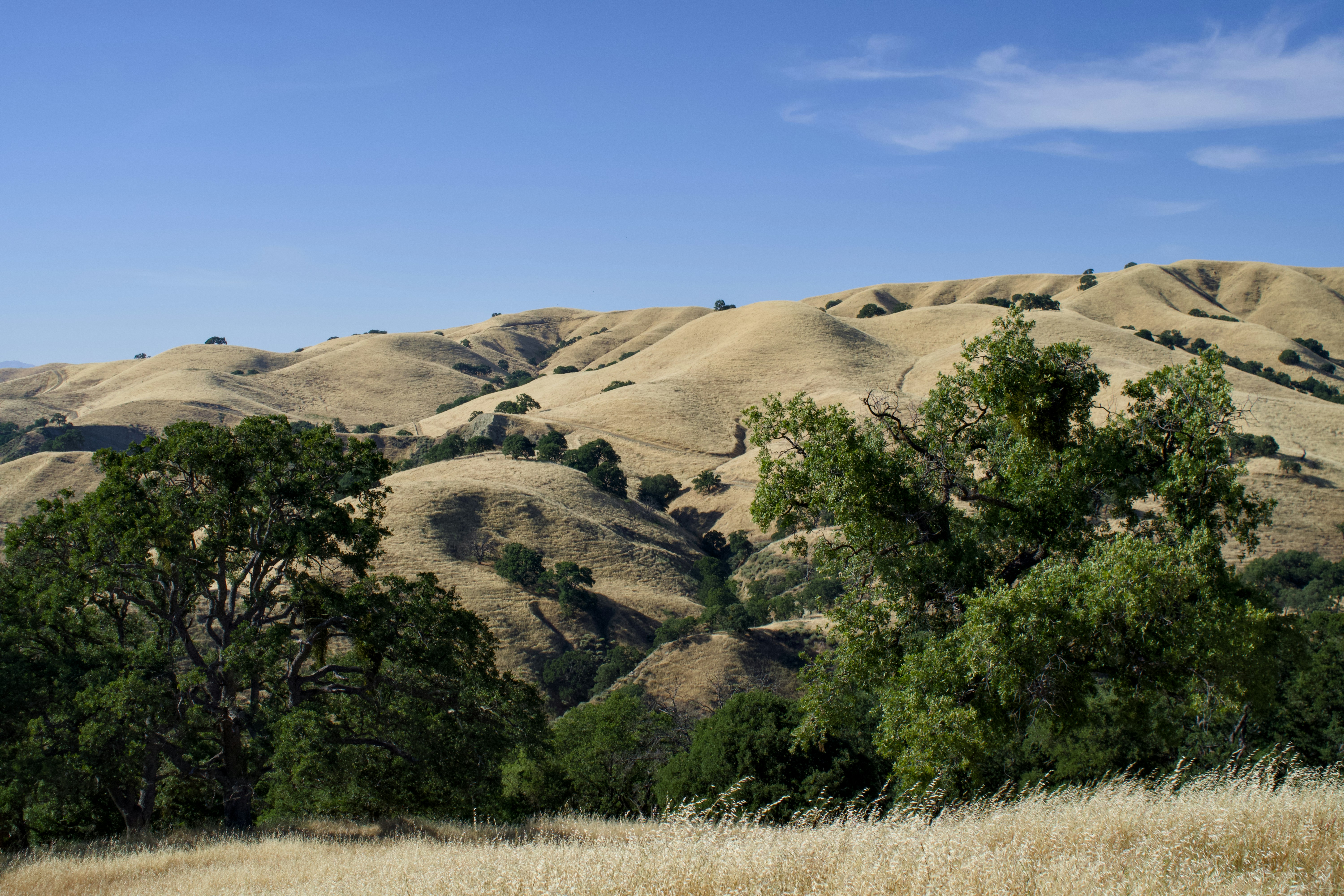 Photo by spencer_demera