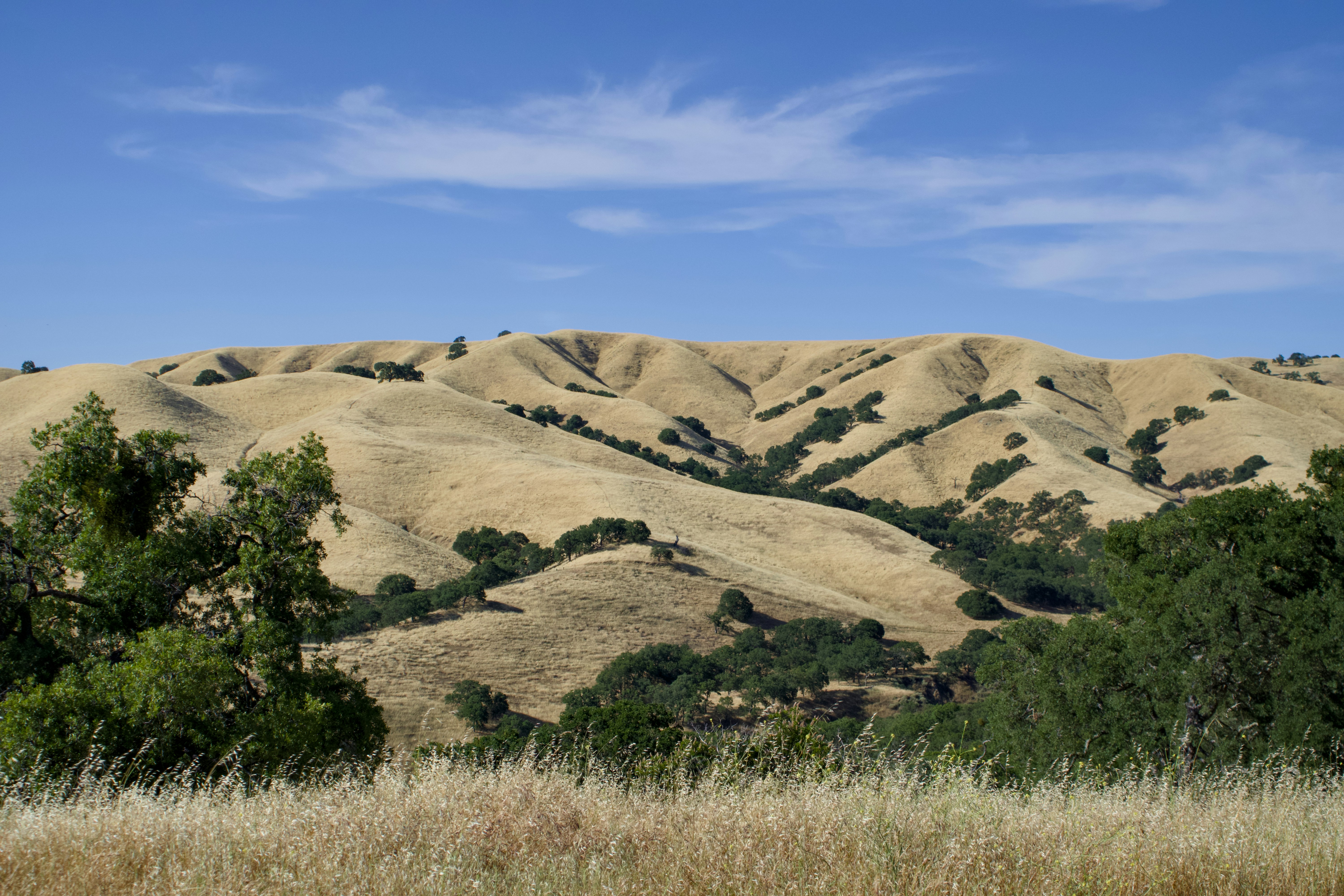 Photo by spencer_demera