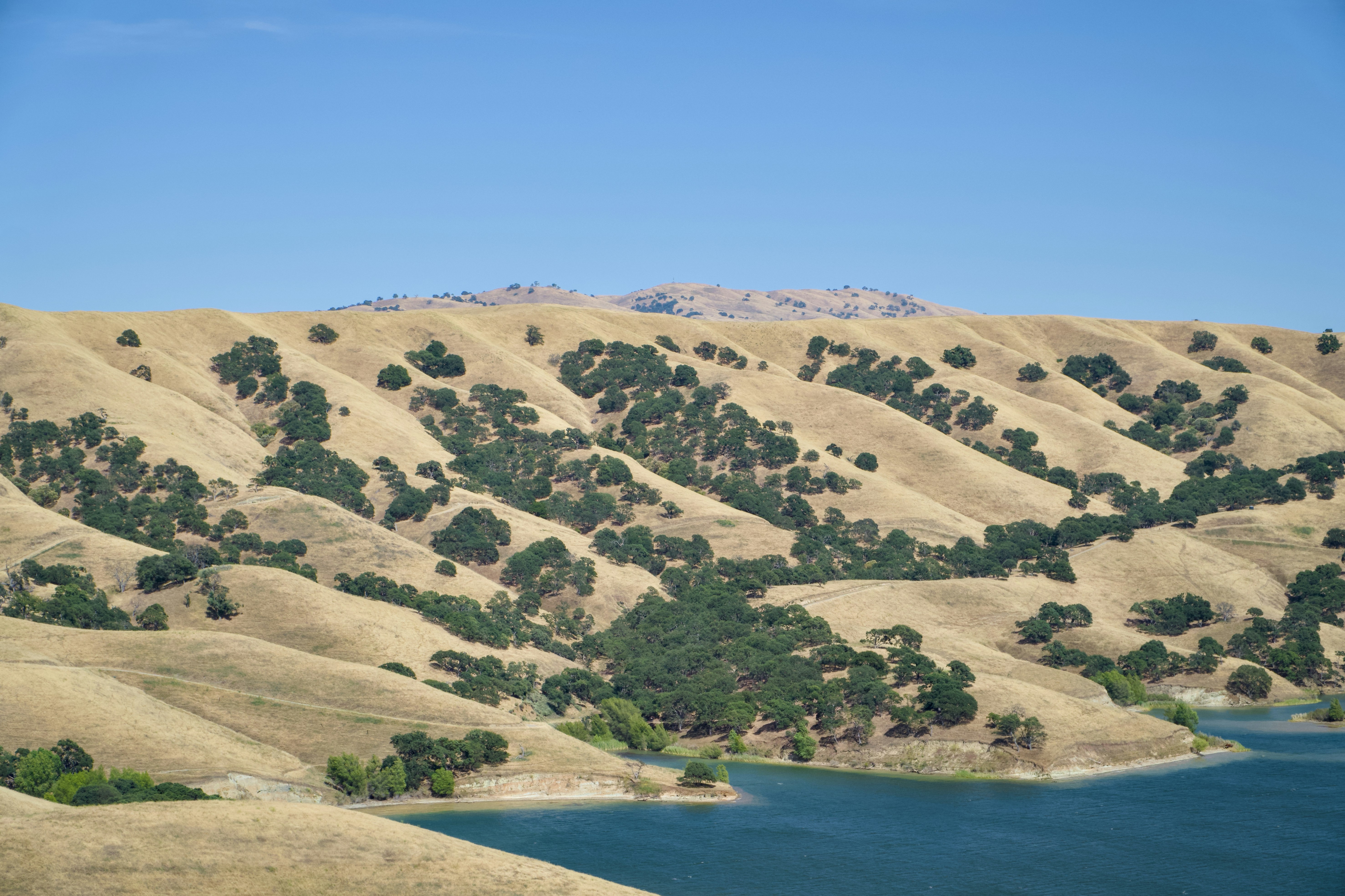 Photo by spencer_demera