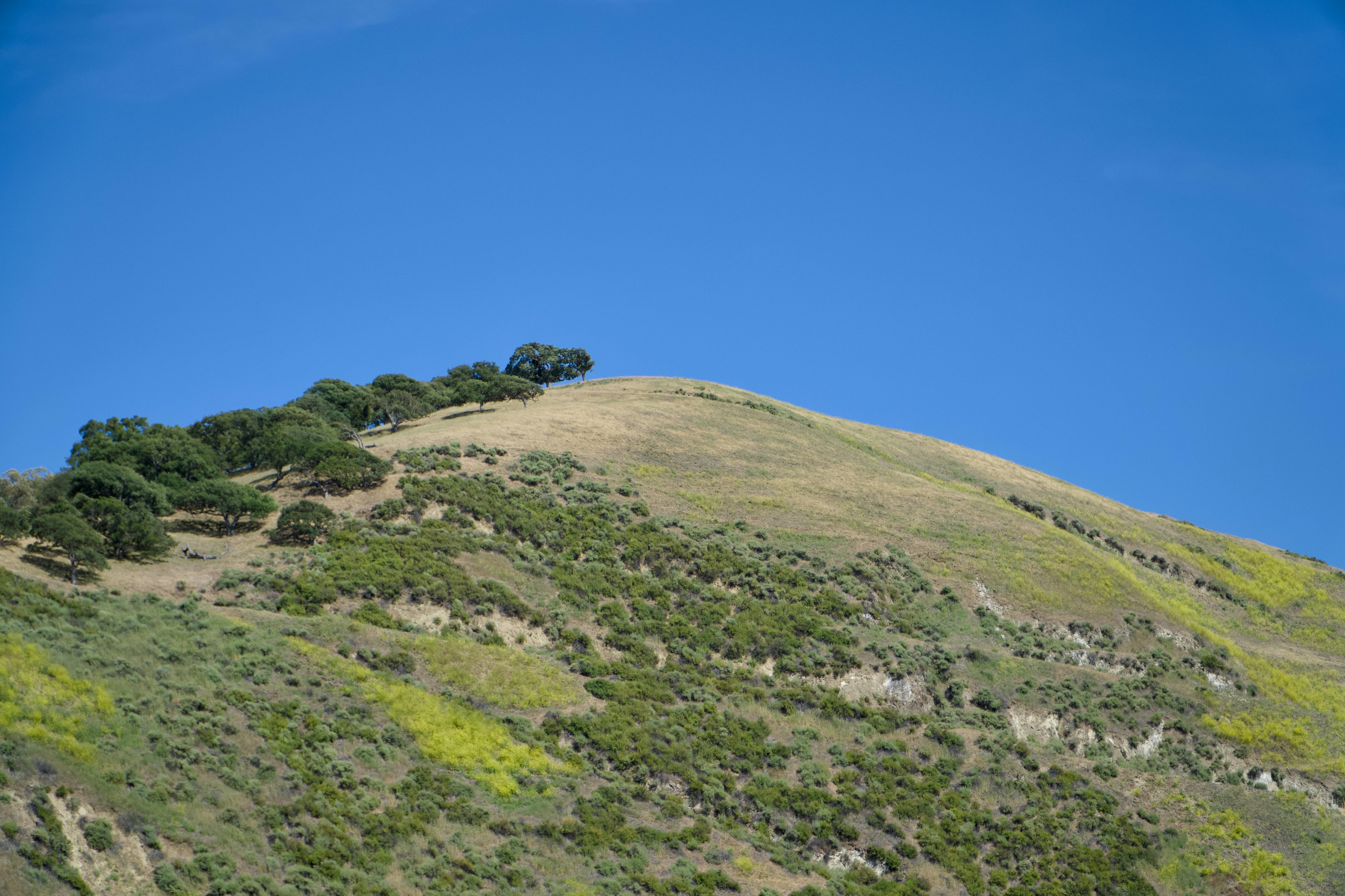 Photo by spencer_demera