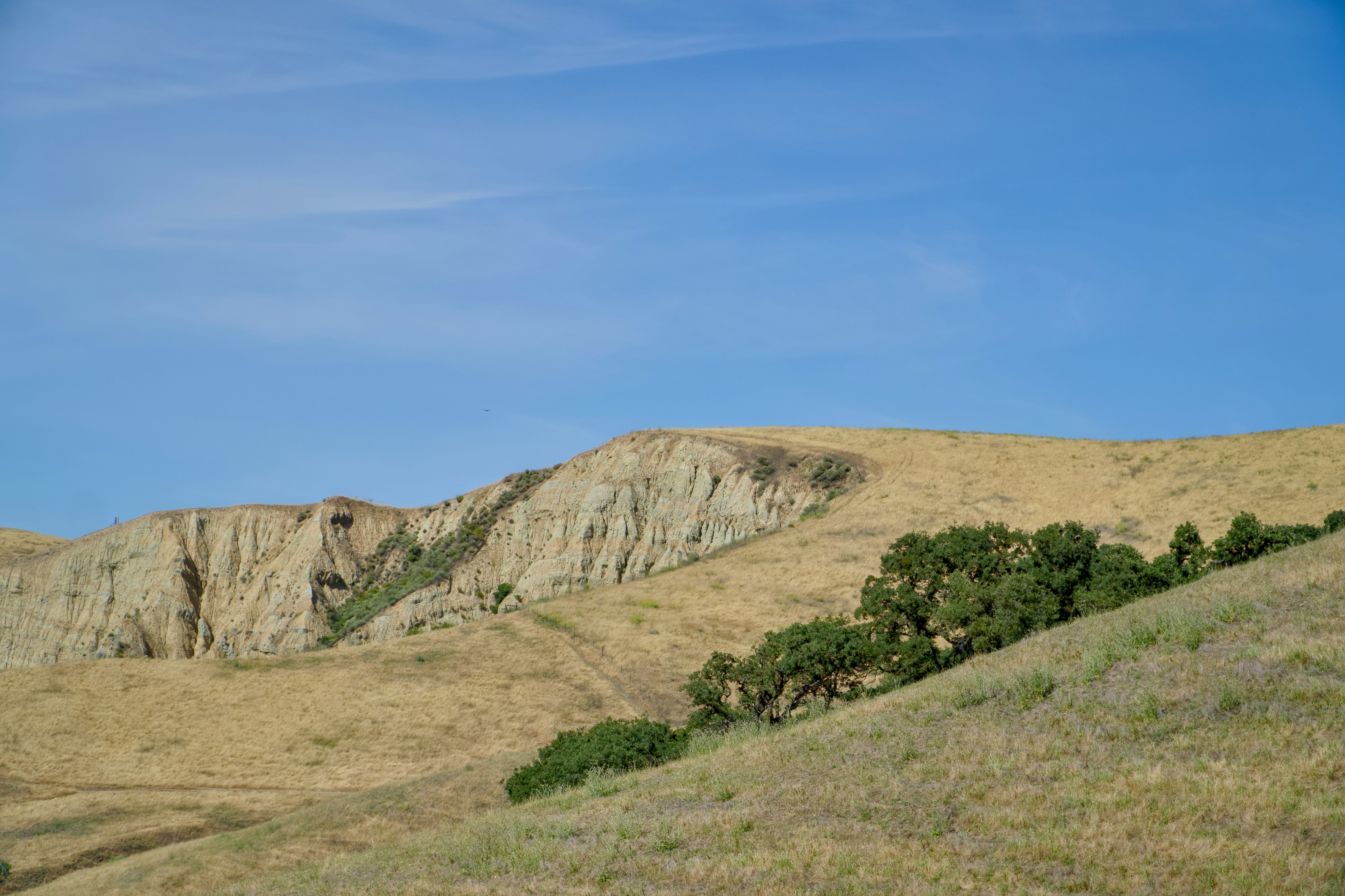 Photo by spencer_demera