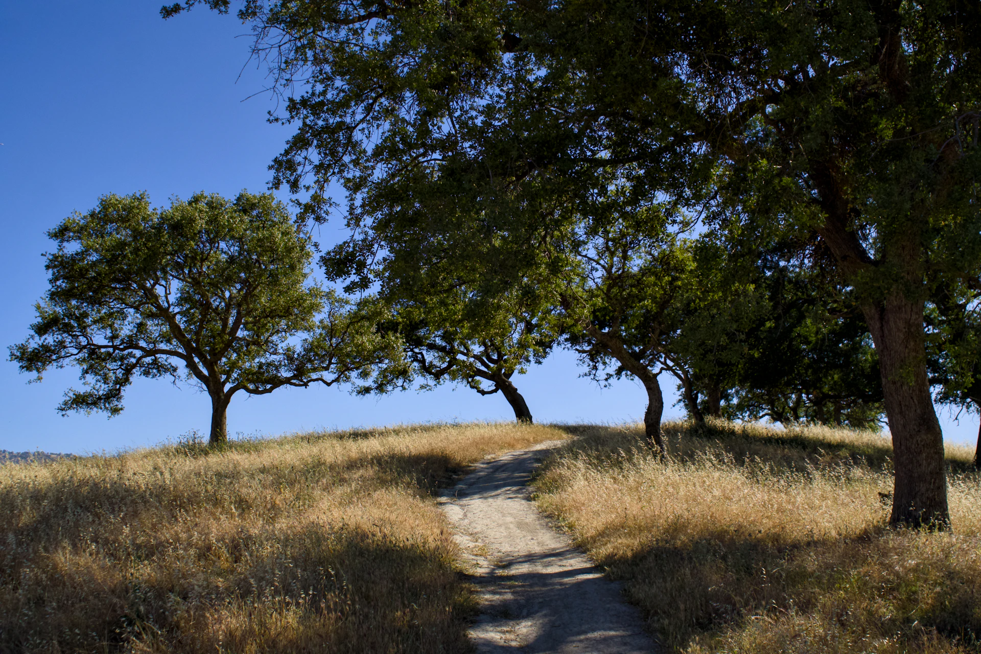 Felicita, Escondido, California
