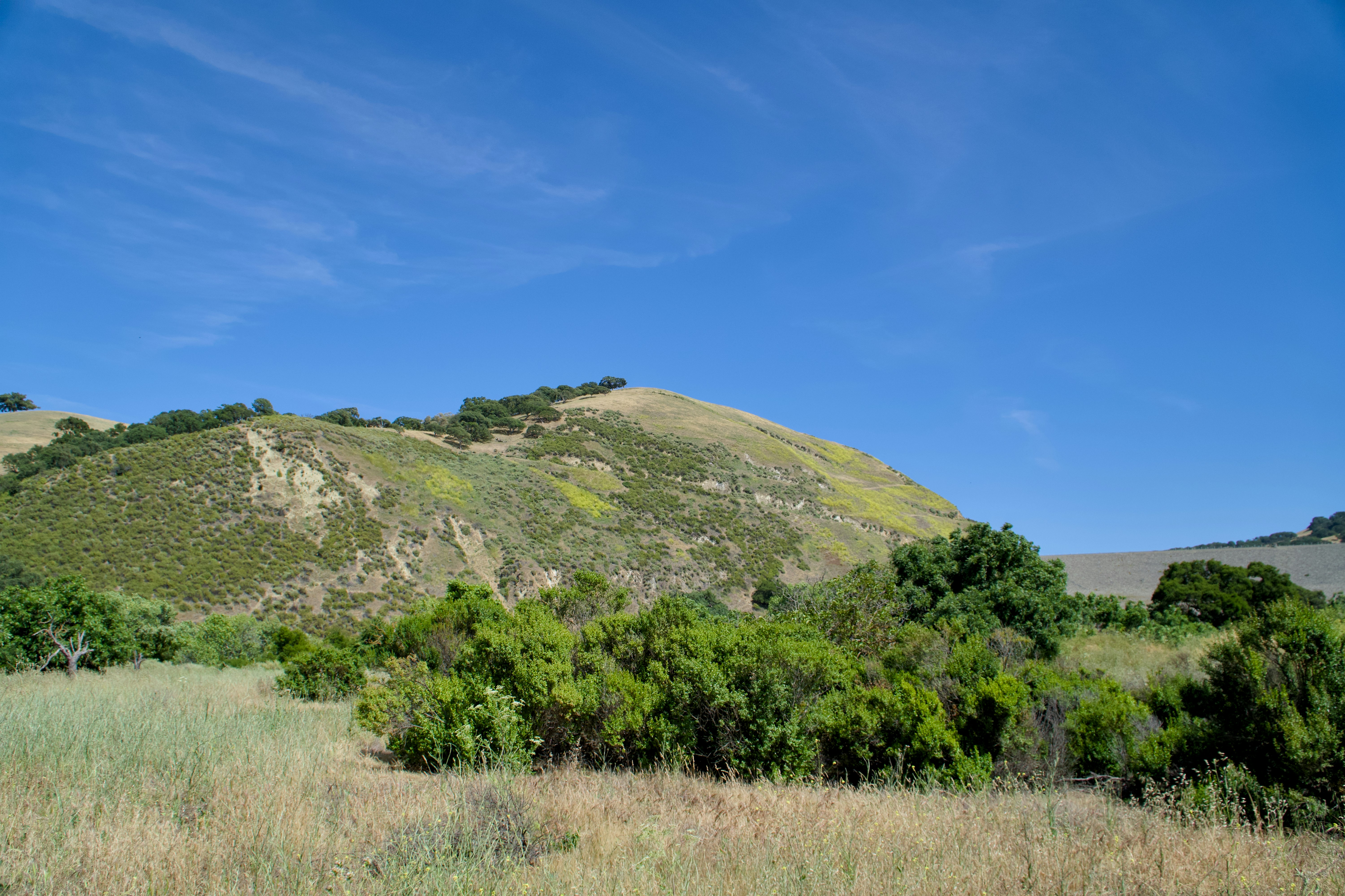 Photo by spencer_demera