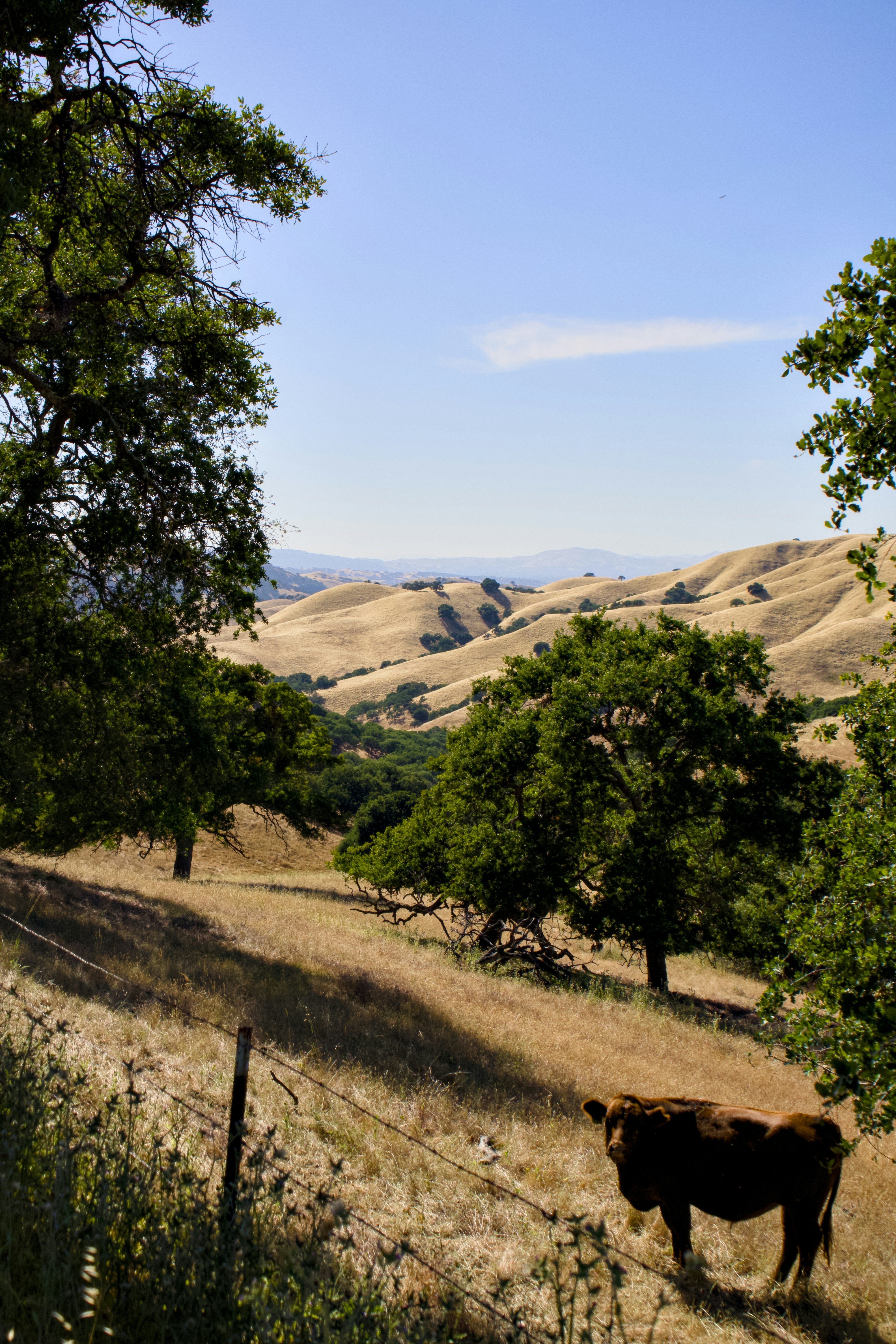 Photo by spencer_demera