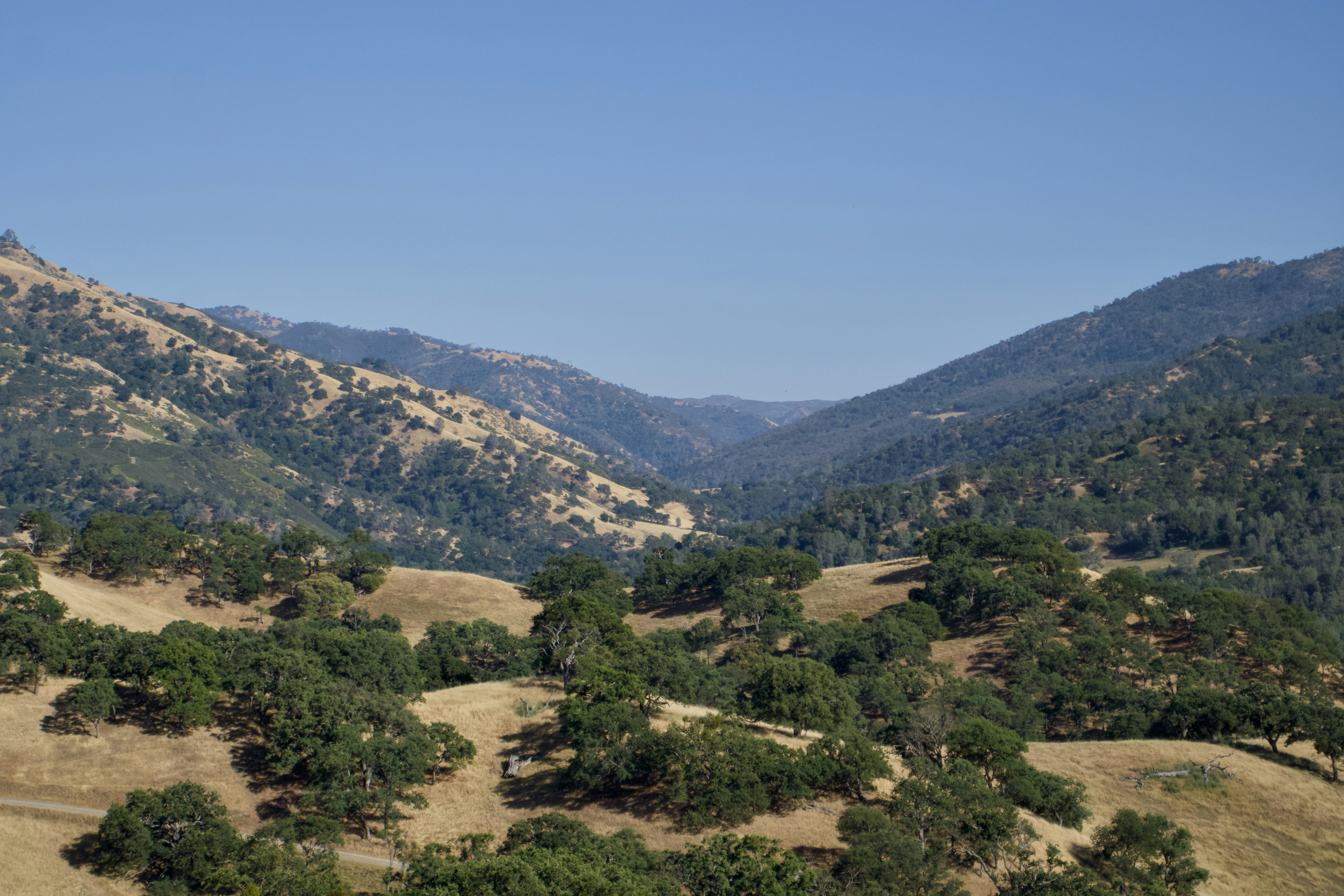 Photo by spencer_demera