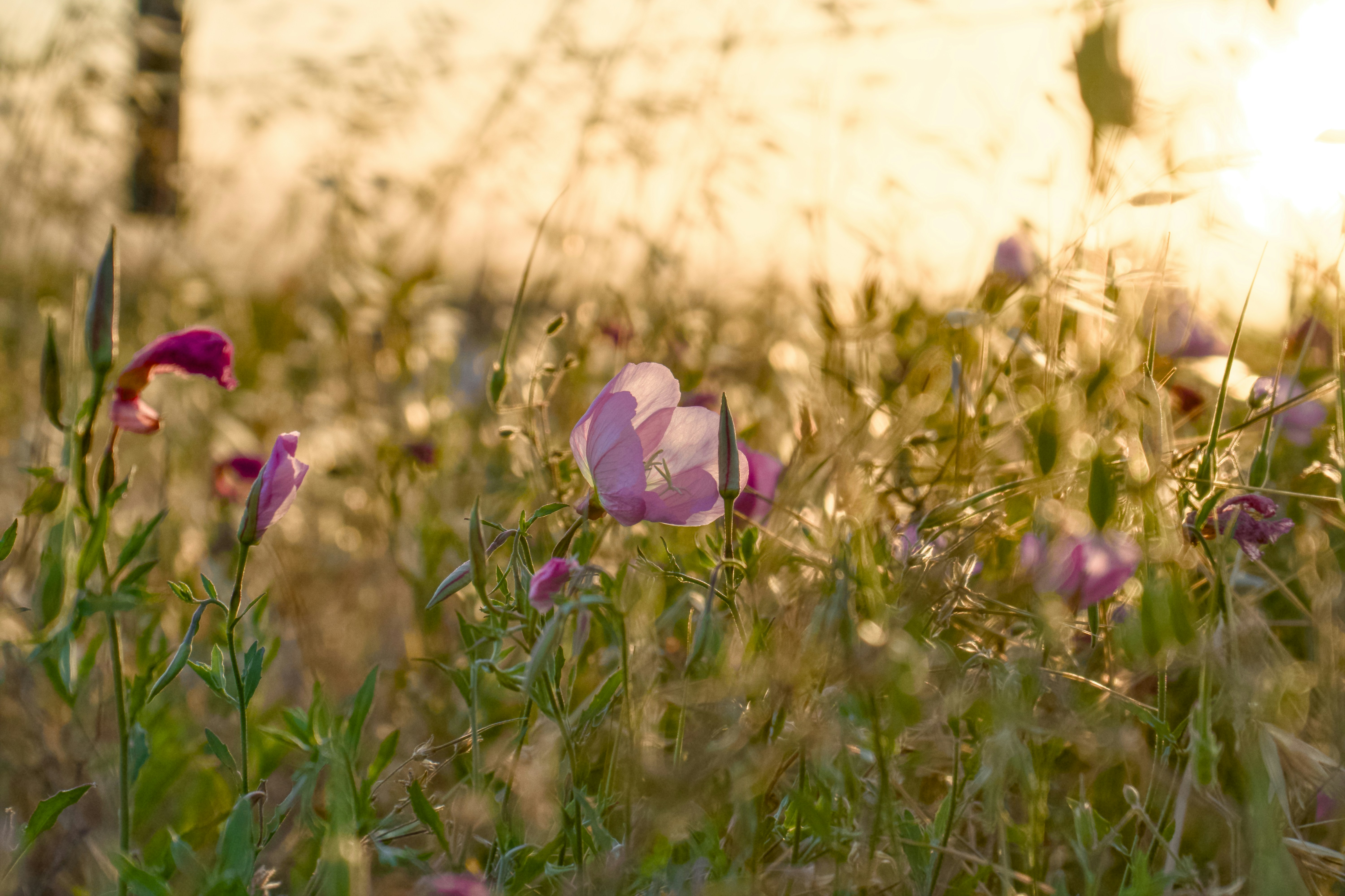 Photo by spencer_demera