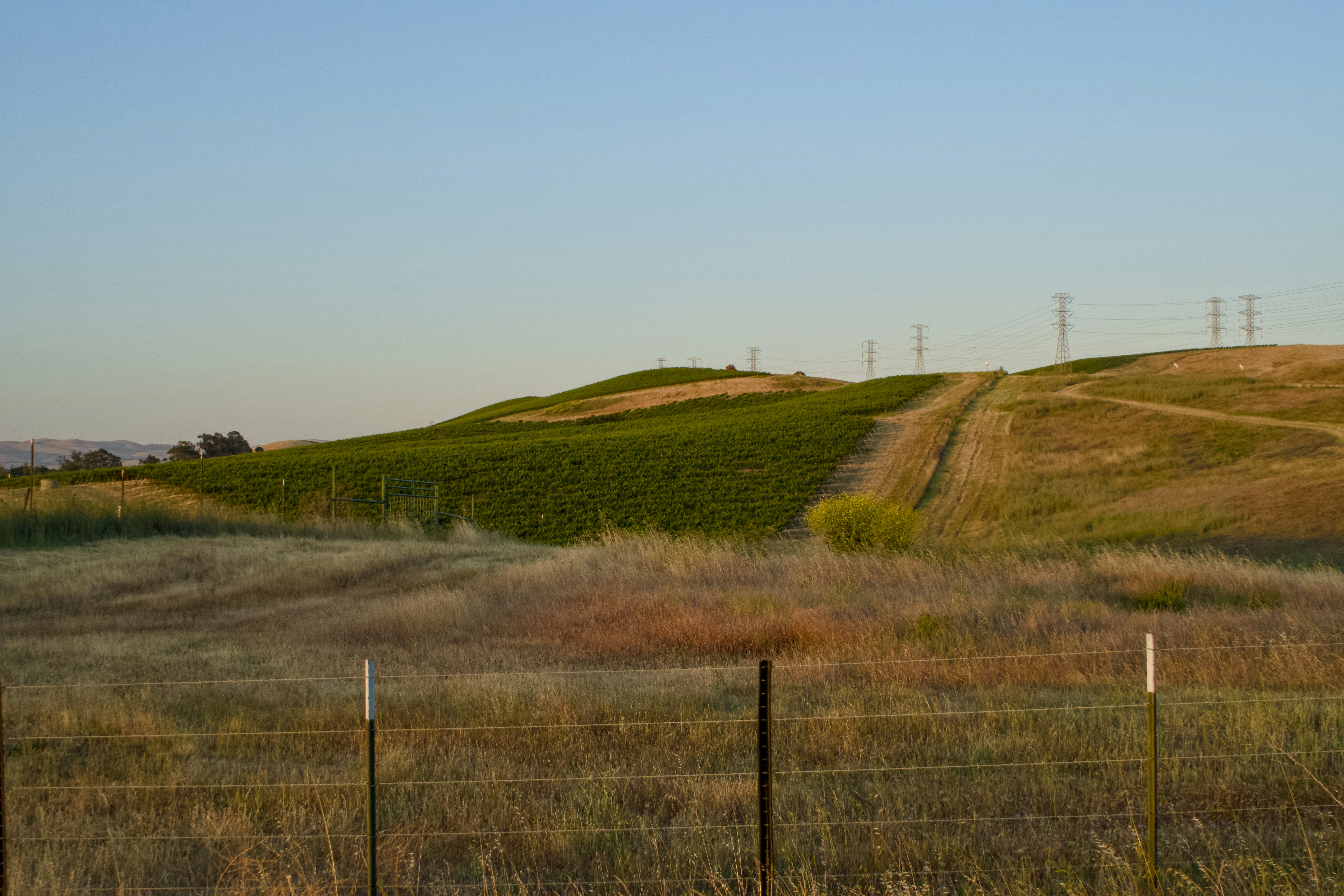 Photo by spencer_demera