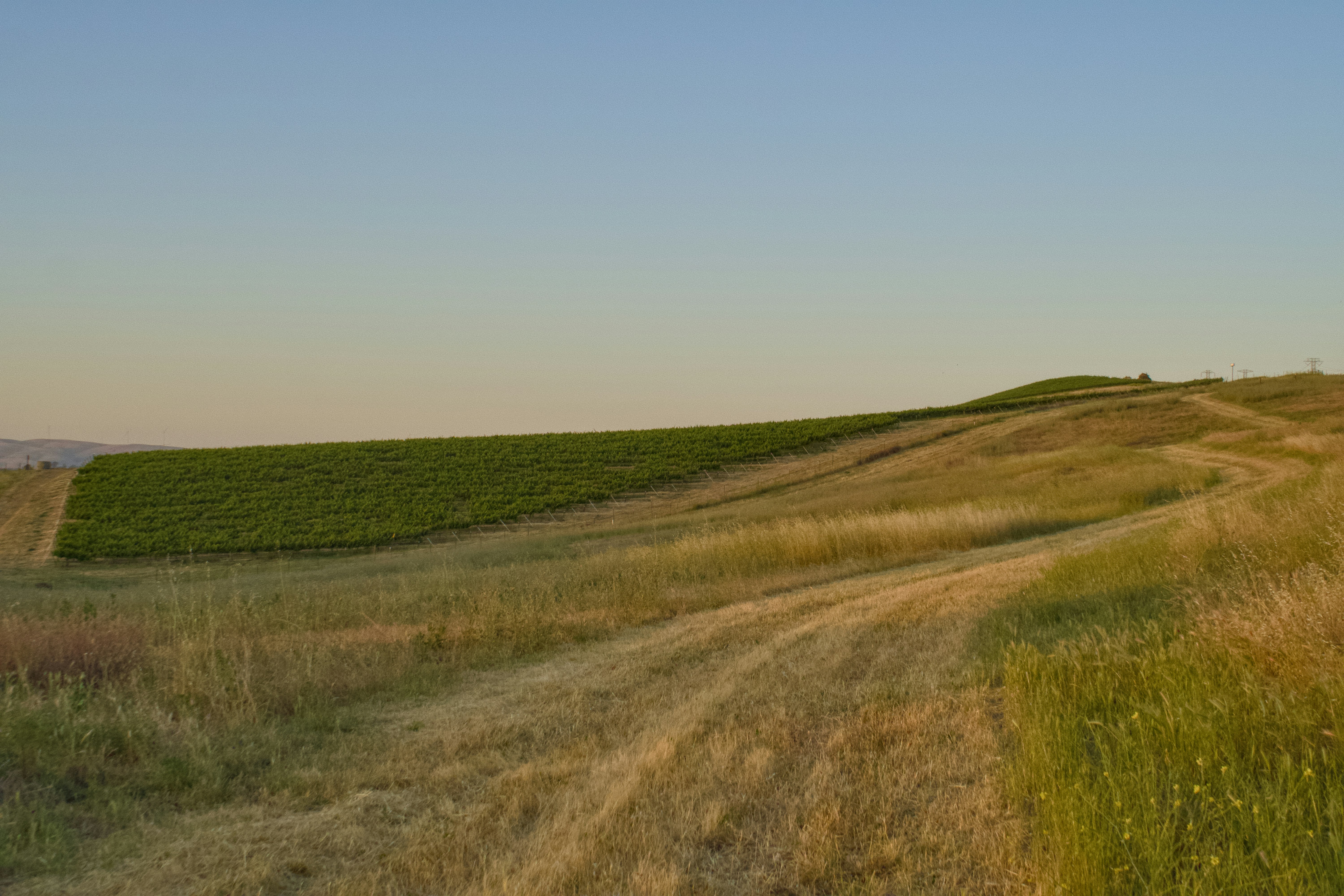 Photo by spencer_demera