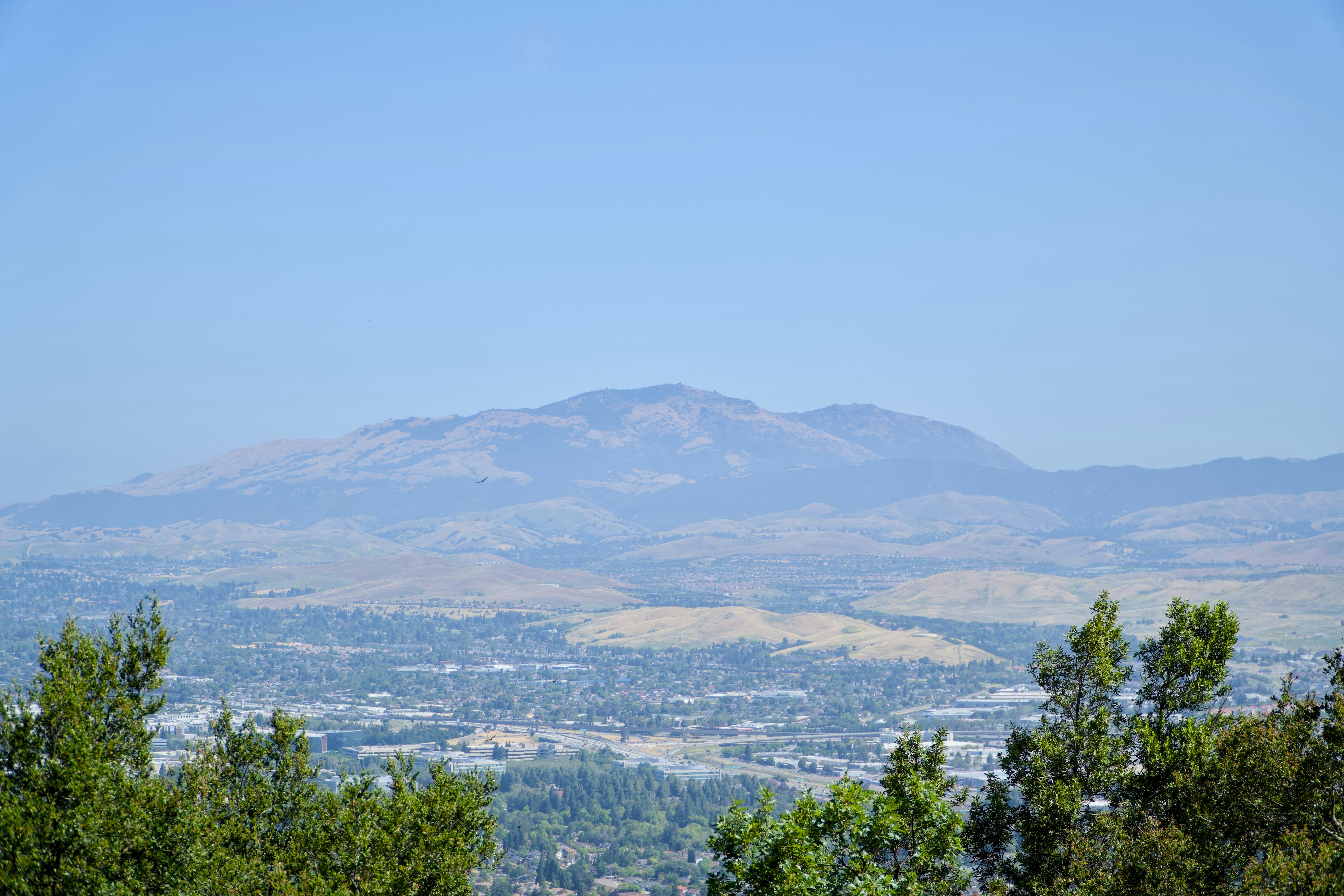 Photo by spencer_demera