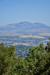 A view of a mountain range with trees in the foreground