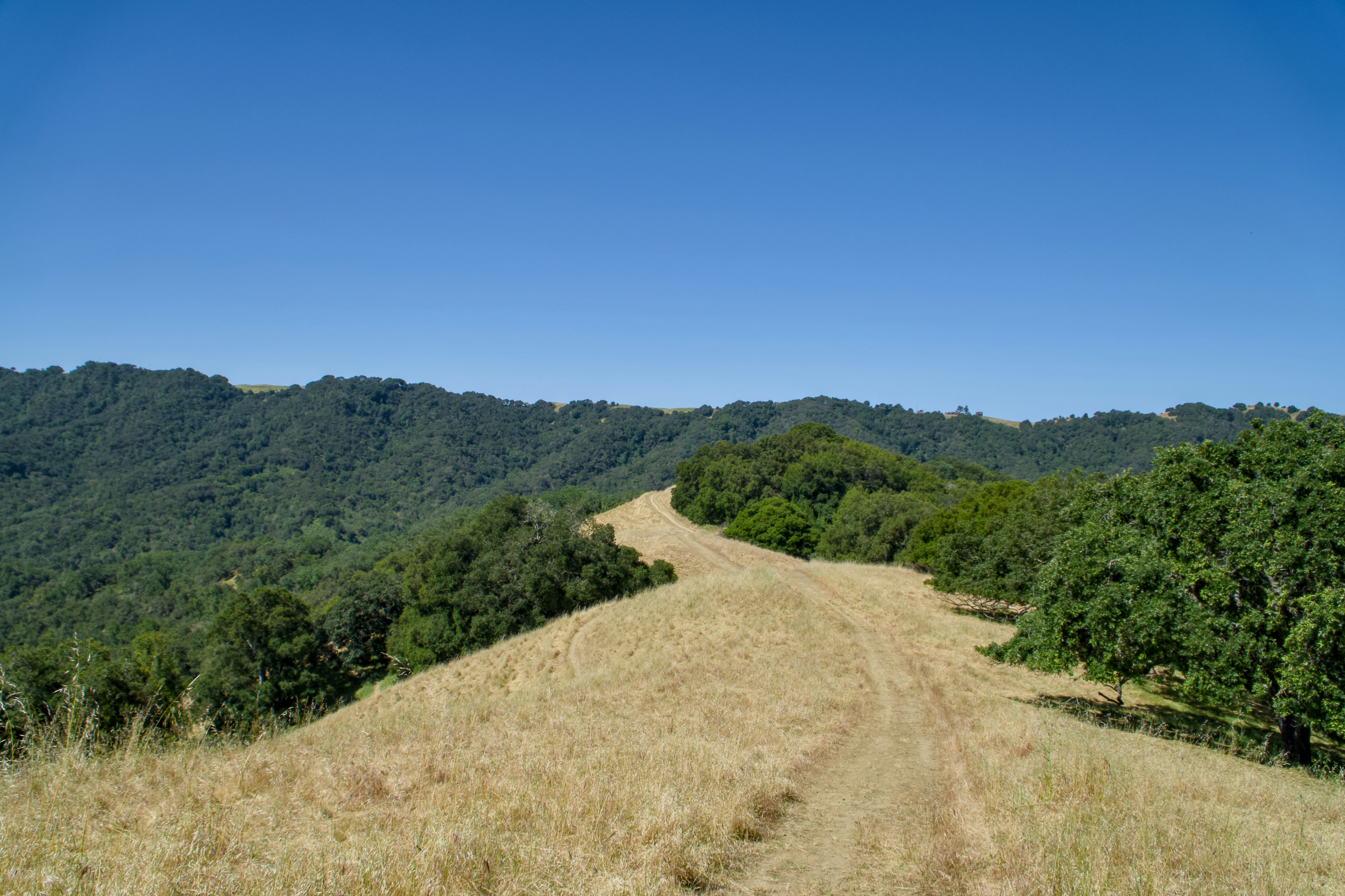 Photo by spencer_demera