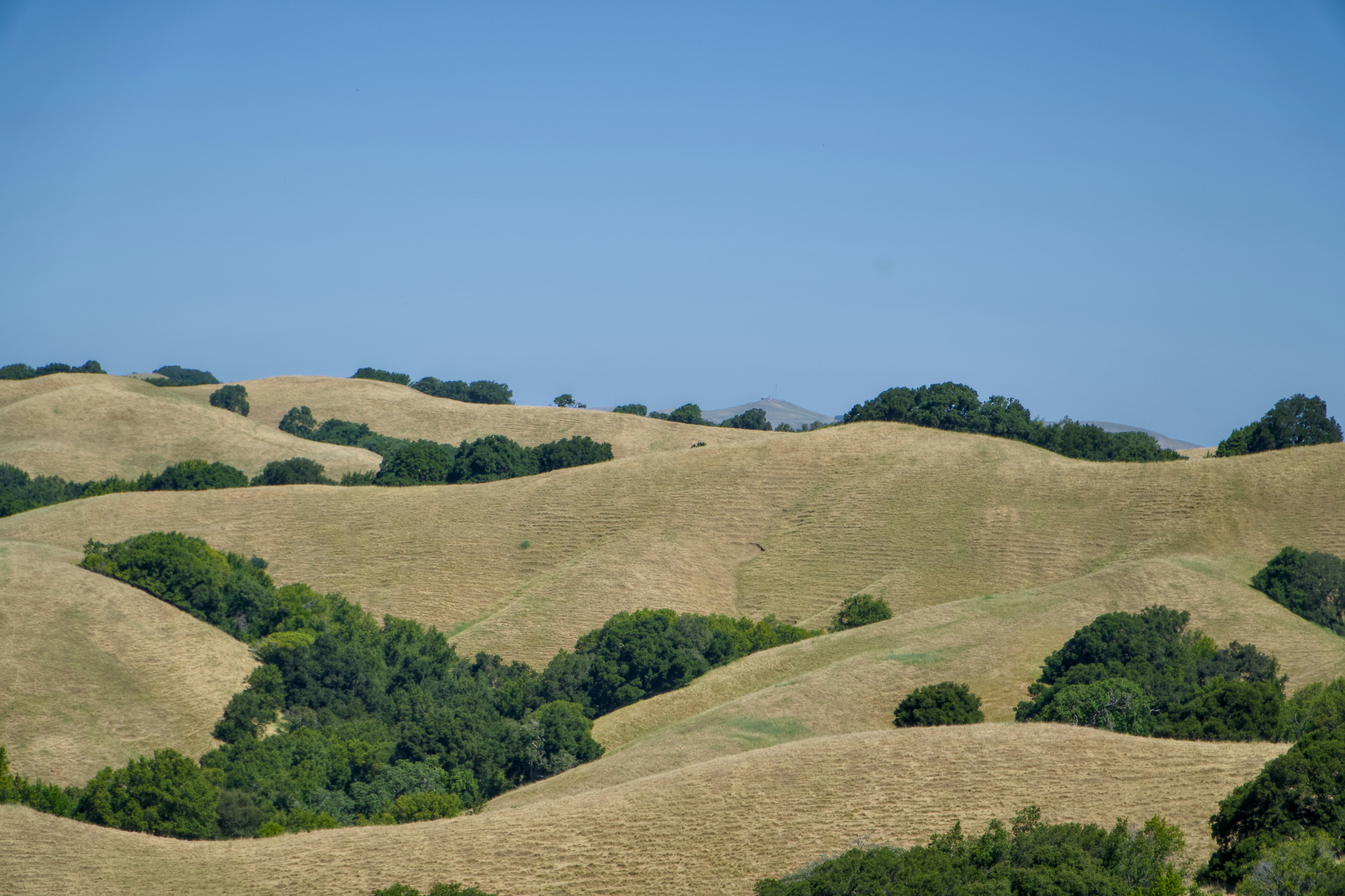 Photo by spencer_demera