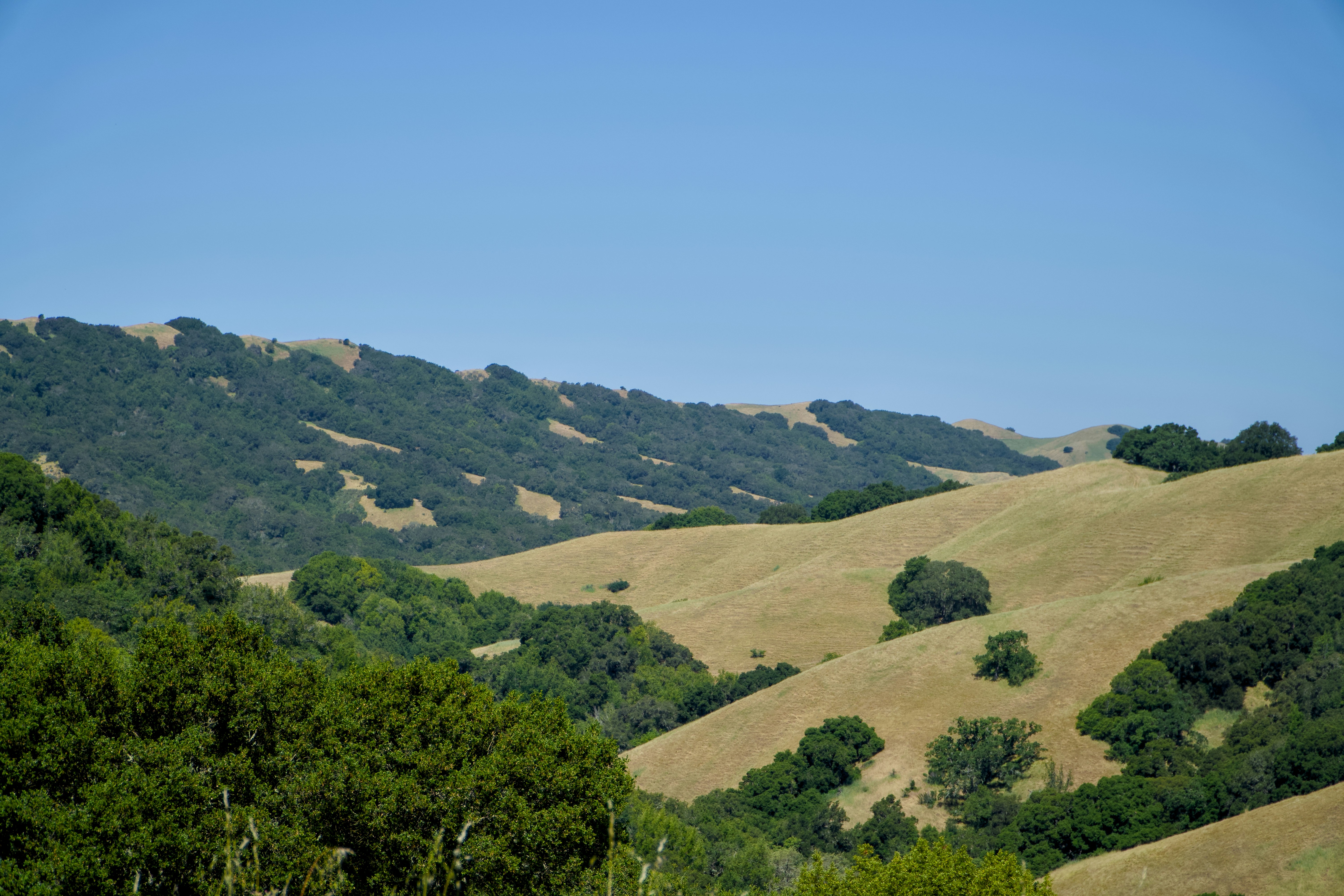 Photo by spencer_demera