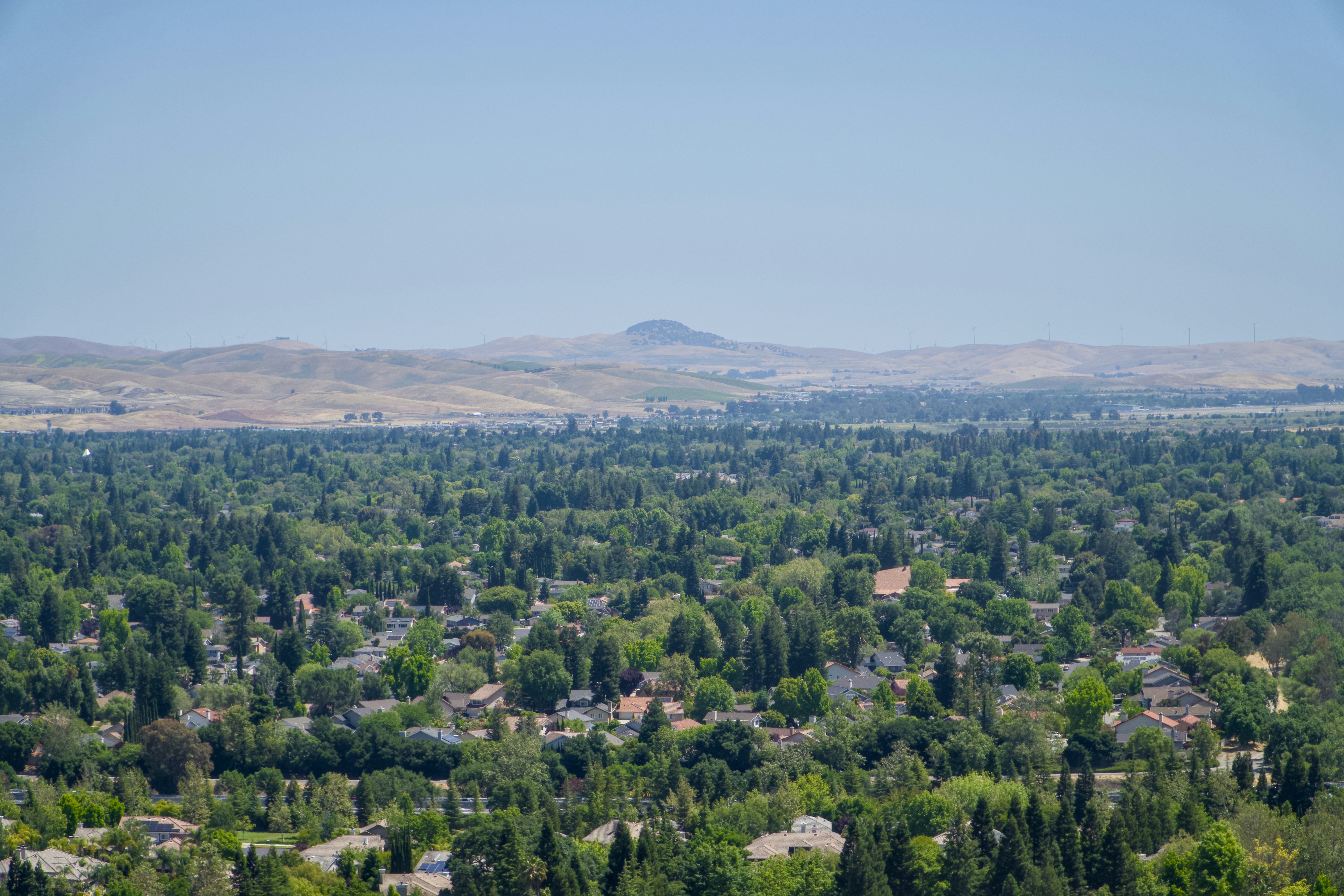 A view of a city with a mountain in the background