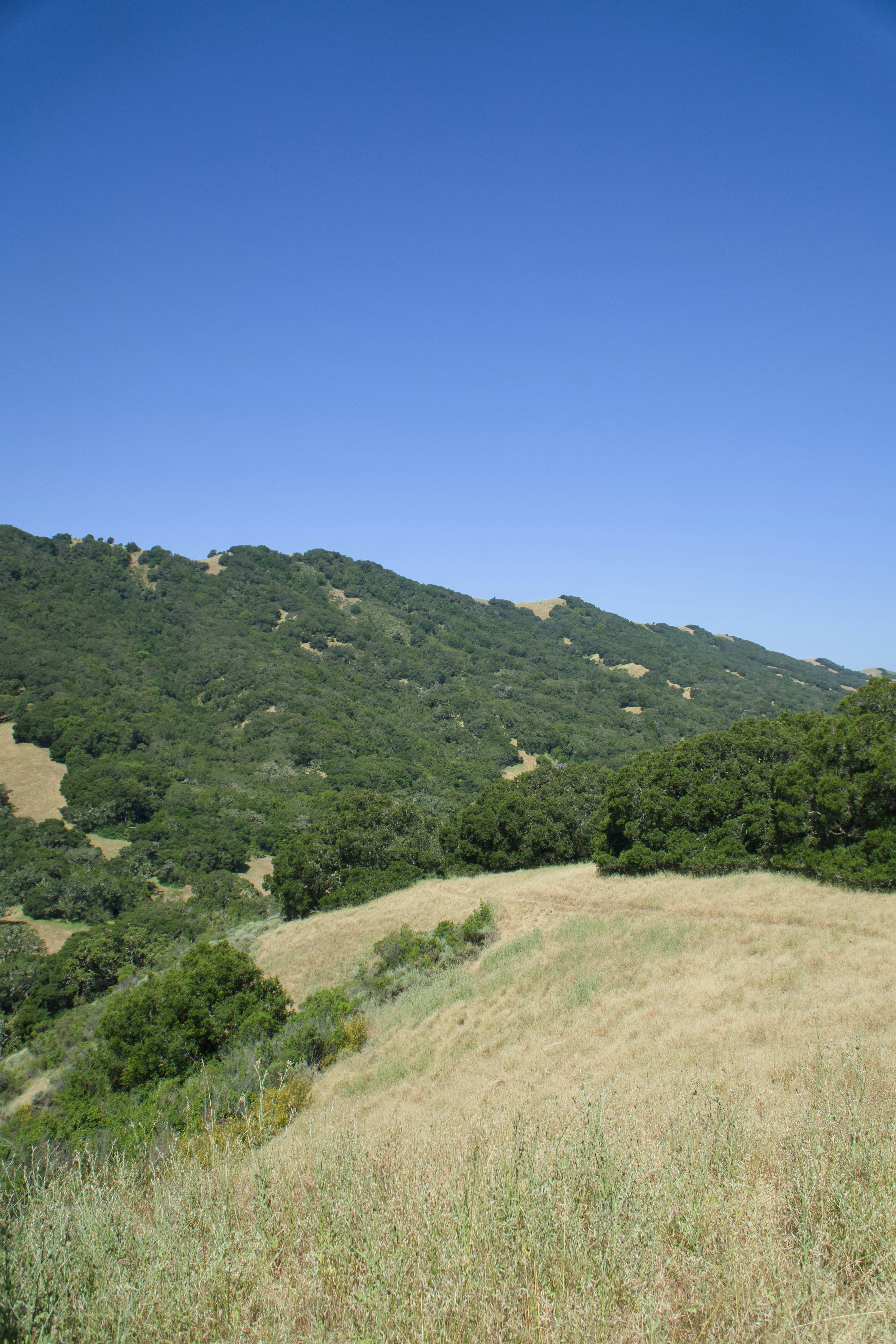 Photo by spencer_demera