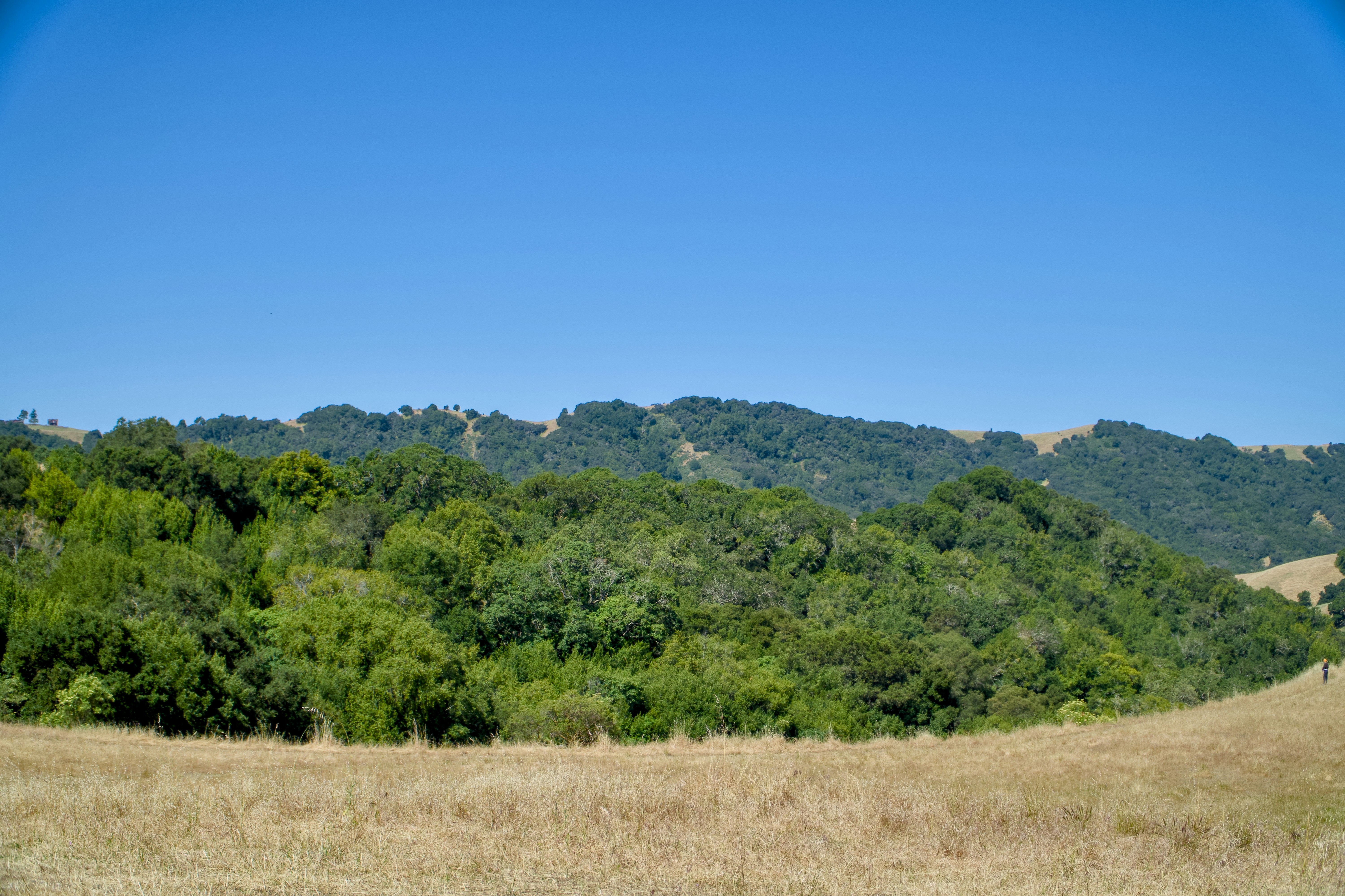 Photo by spencer_demera